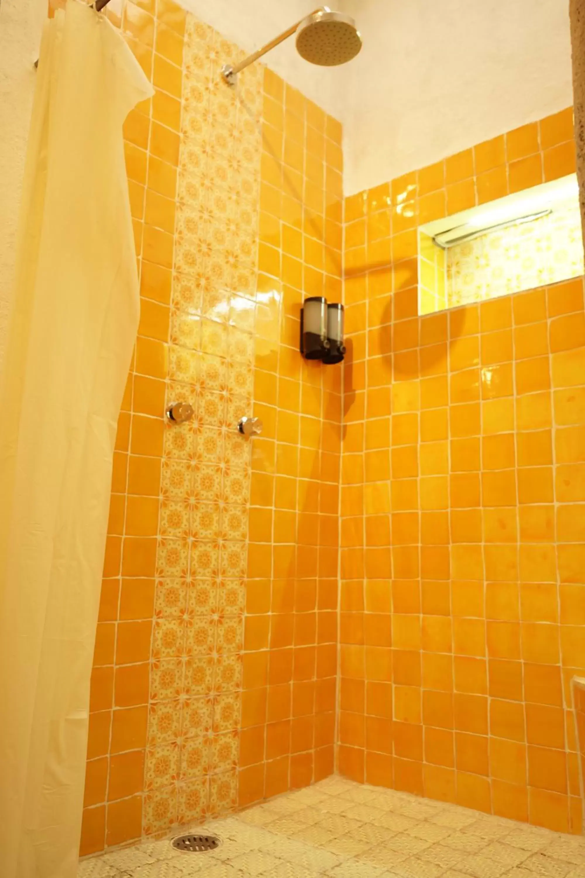 Shower, Bathroom in Mesón De Leyendas Breakfast & Downtown