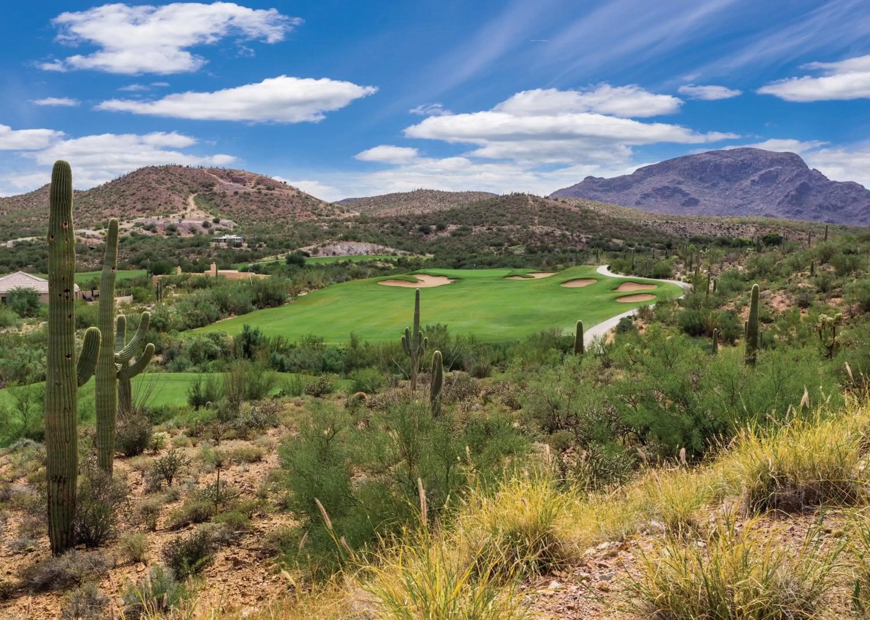 Golfcourse in Starr Pass Golf Suites