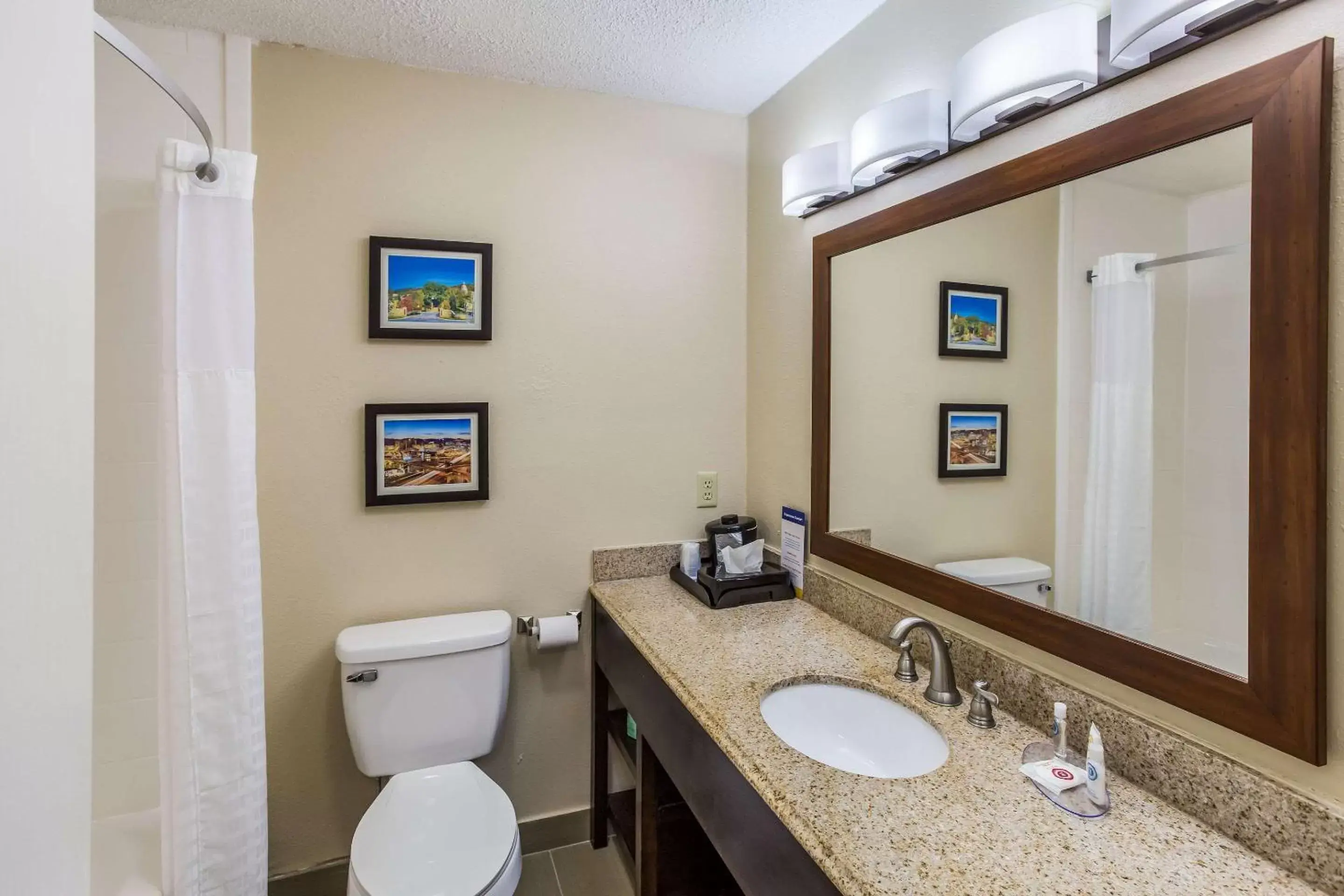 Bathroom in Comfort Inn Charleston, WV