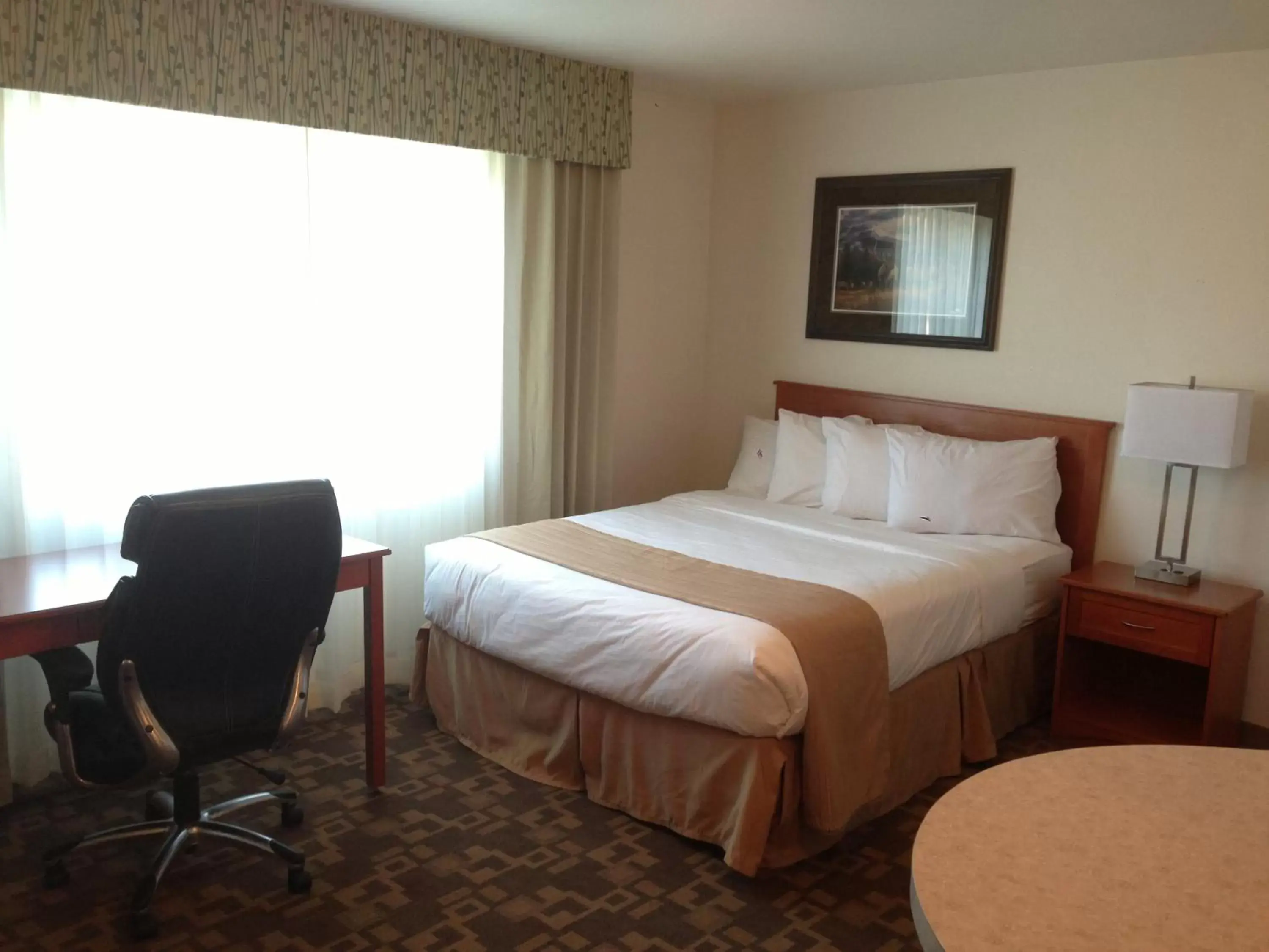 Photo of the whole room, Bed in Alaska's Select Inn Wasilla