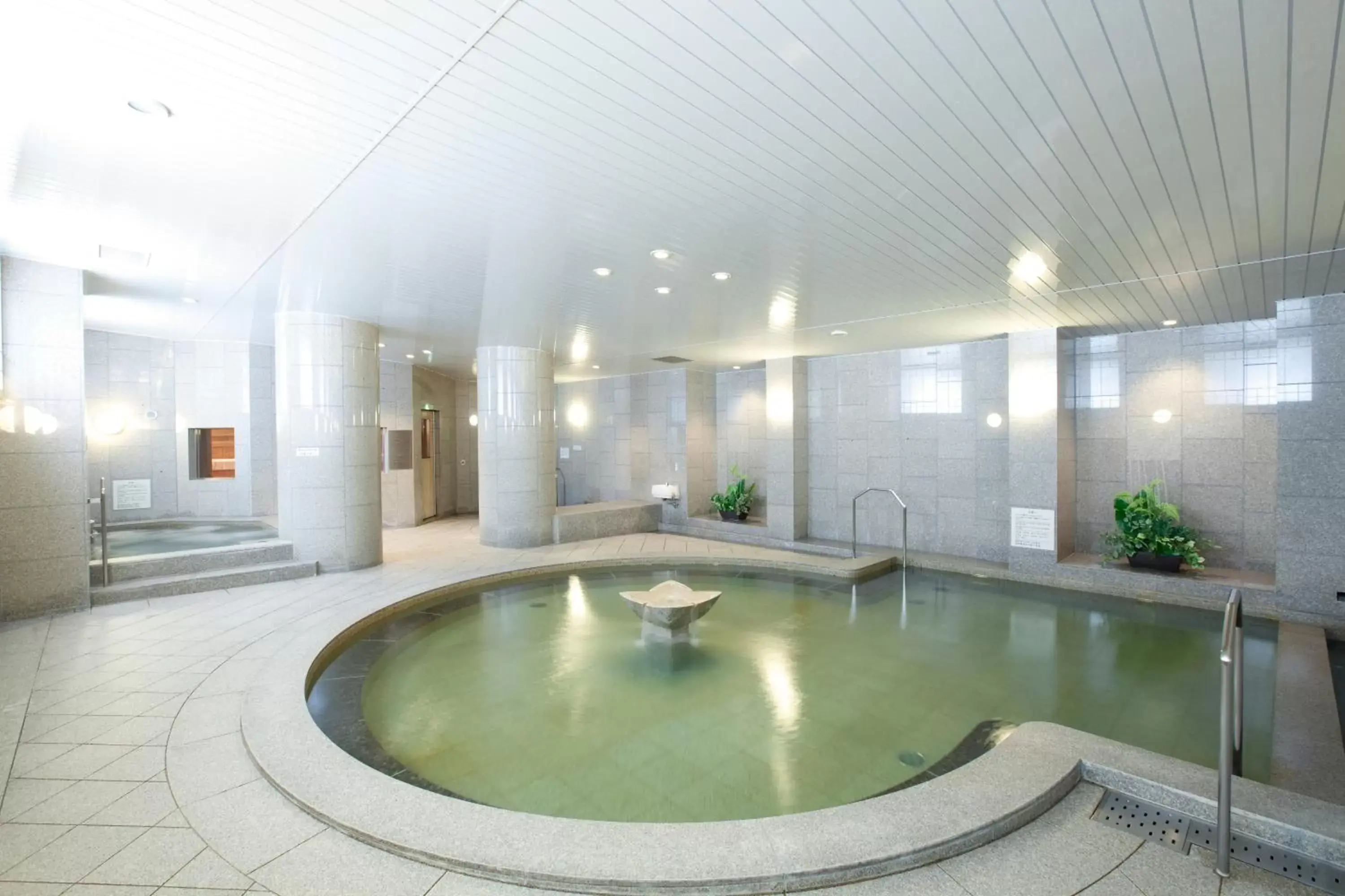 Hot Spring Bath, Swimming Pool in HOTEL MYSTAYS PREMIER Sapporo Park