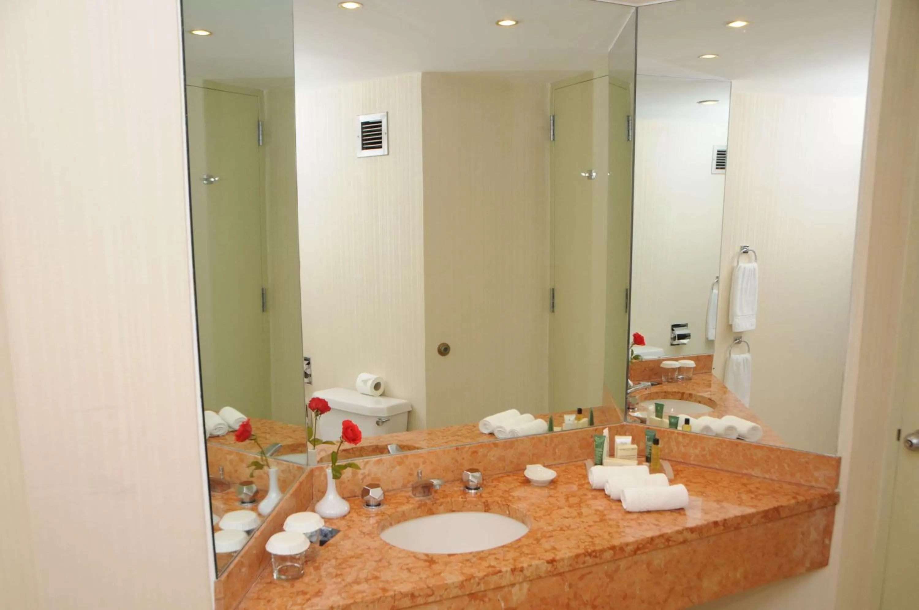 Bathroom in Ramses Hilton Hotel & Casino