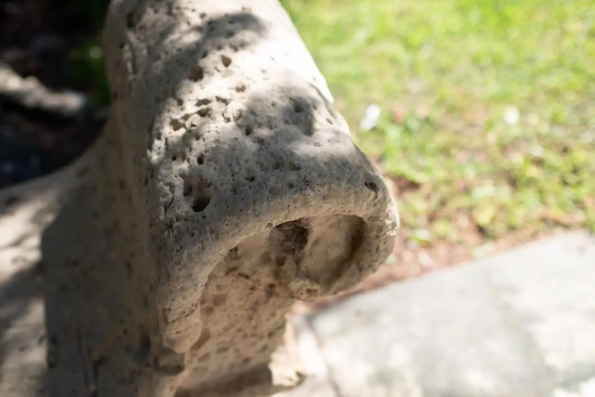 Decorative detail, Other Animals in Hotel Parco delle Fontane