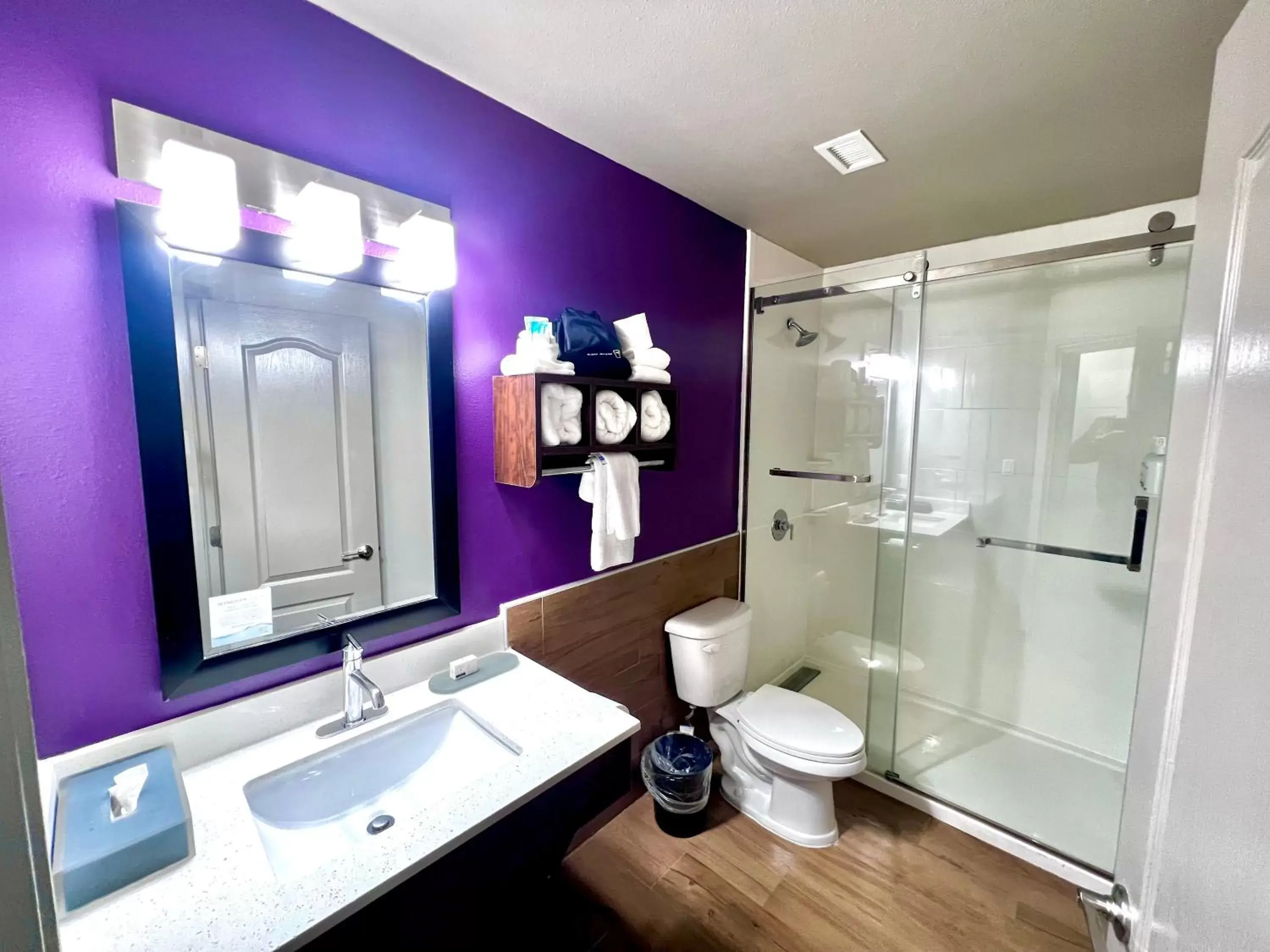 Shower, Bathroom in La Quinta by Wyndham Pharr North McAllen