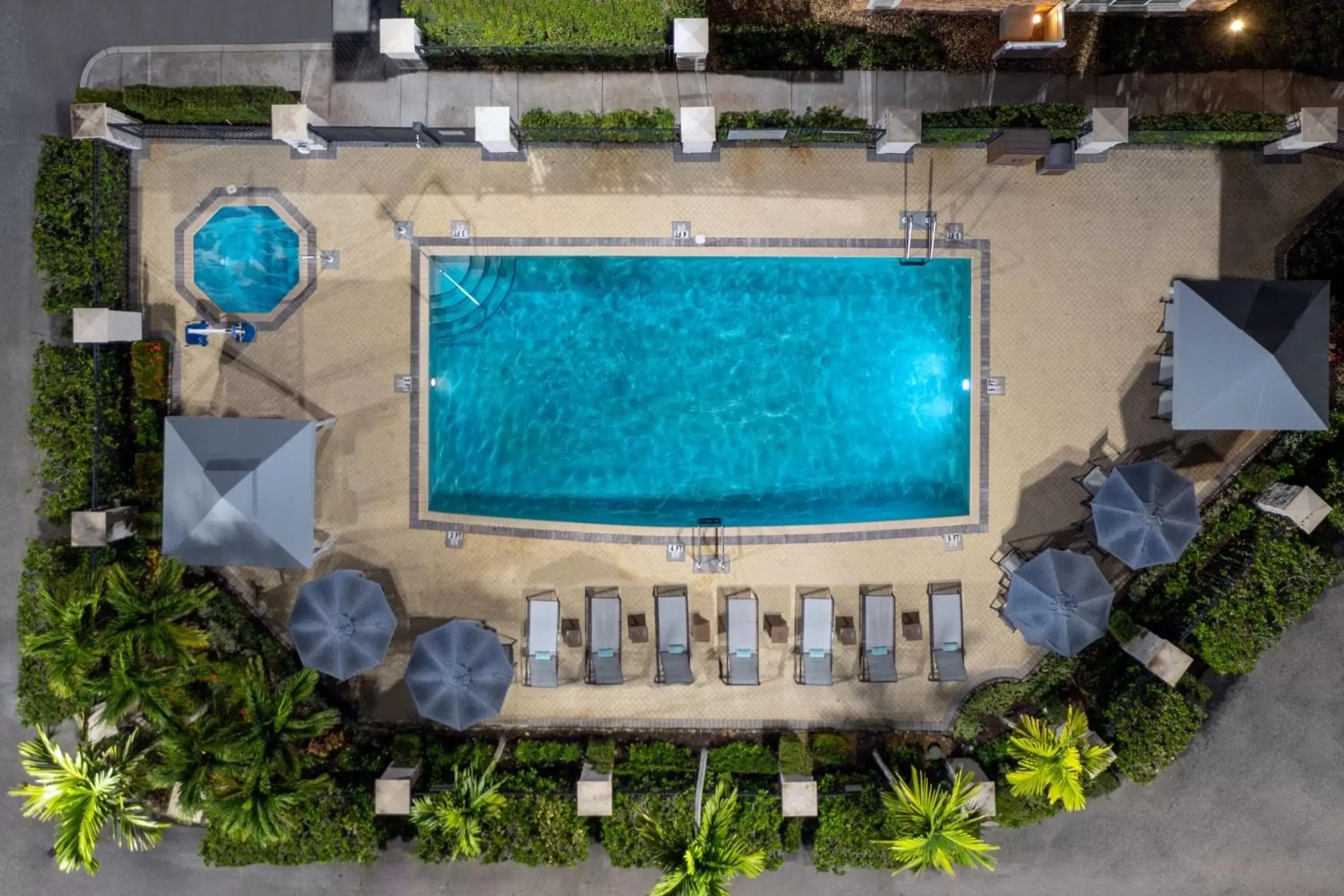 Swimming pool, Pool View in Courtyard by Marriott Sarasota at University Town Center