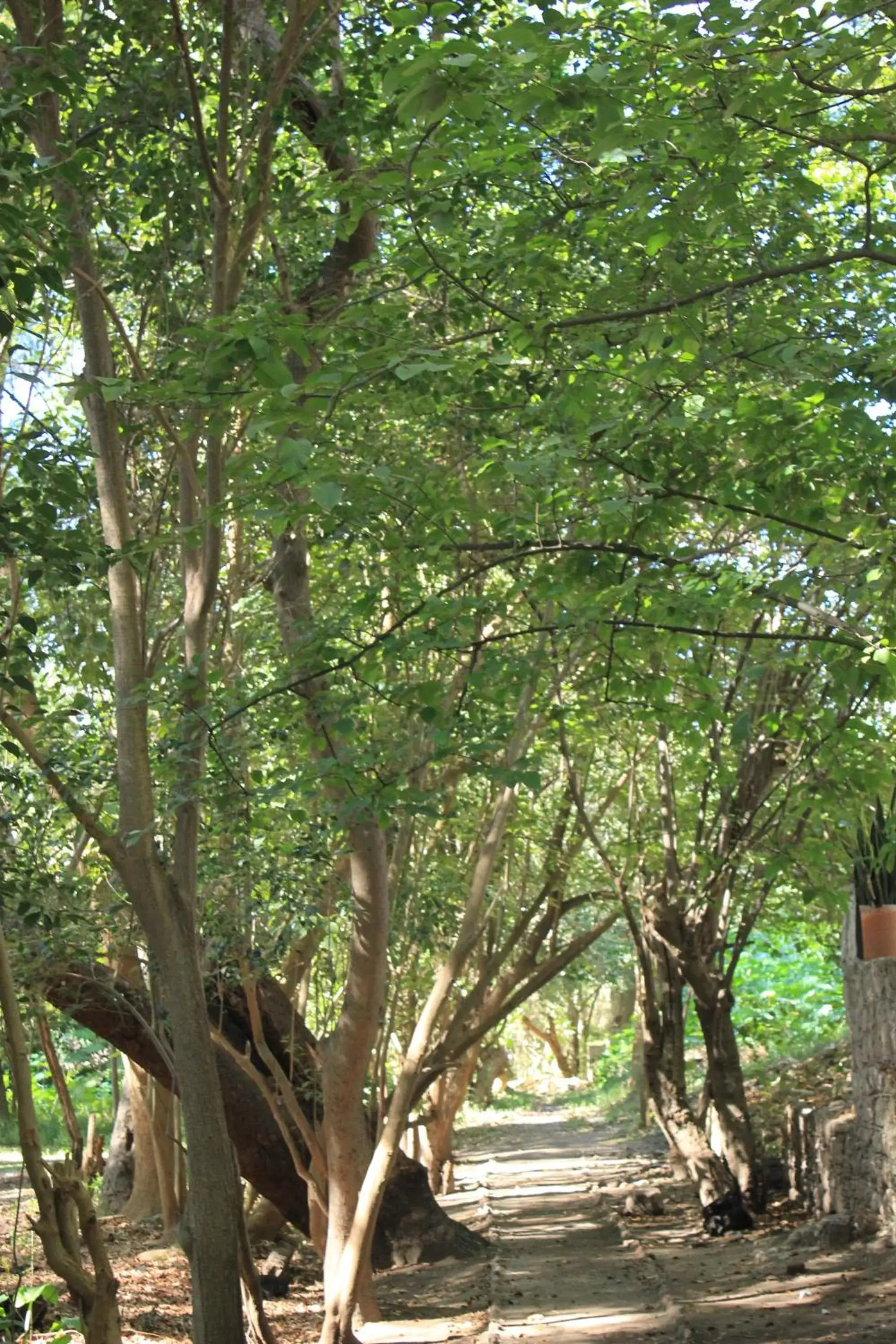 Natural landscape in El Marques Hacienda