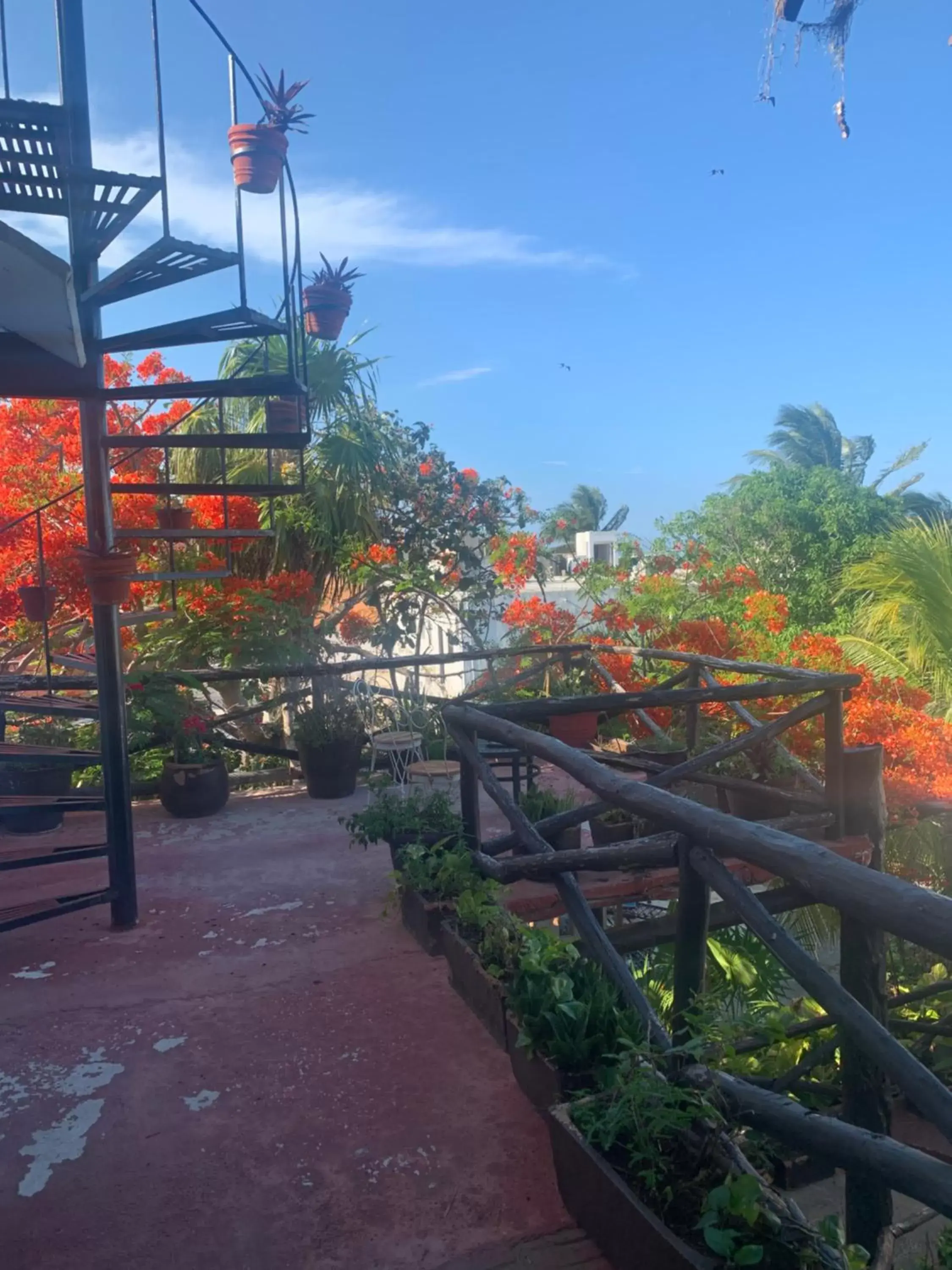 Bird's eye view, Children's Play Area in Casa Caribe Cancun