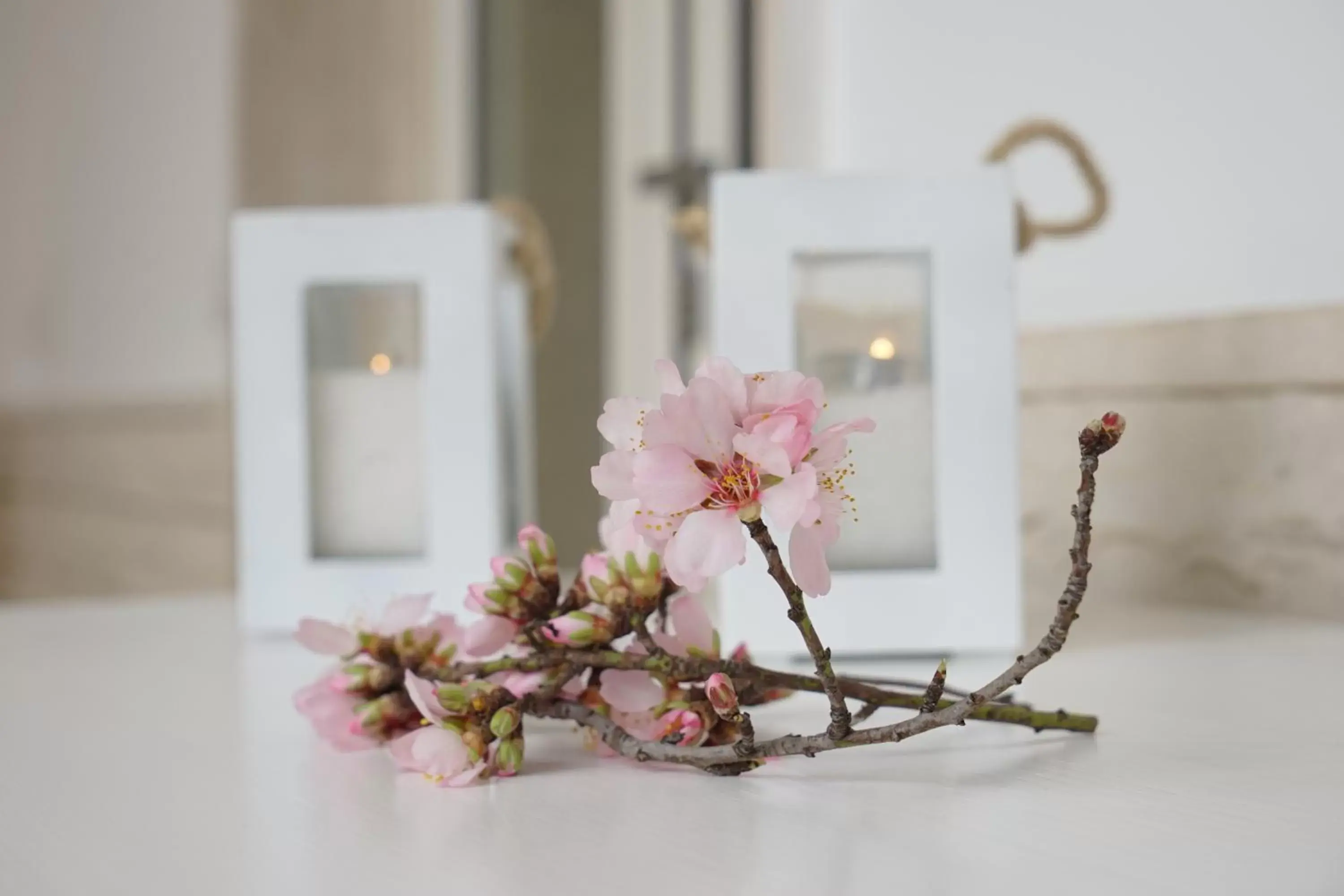 Decorative detail in FEMily B&B Bed and Breakfast di Puglia in - Bari