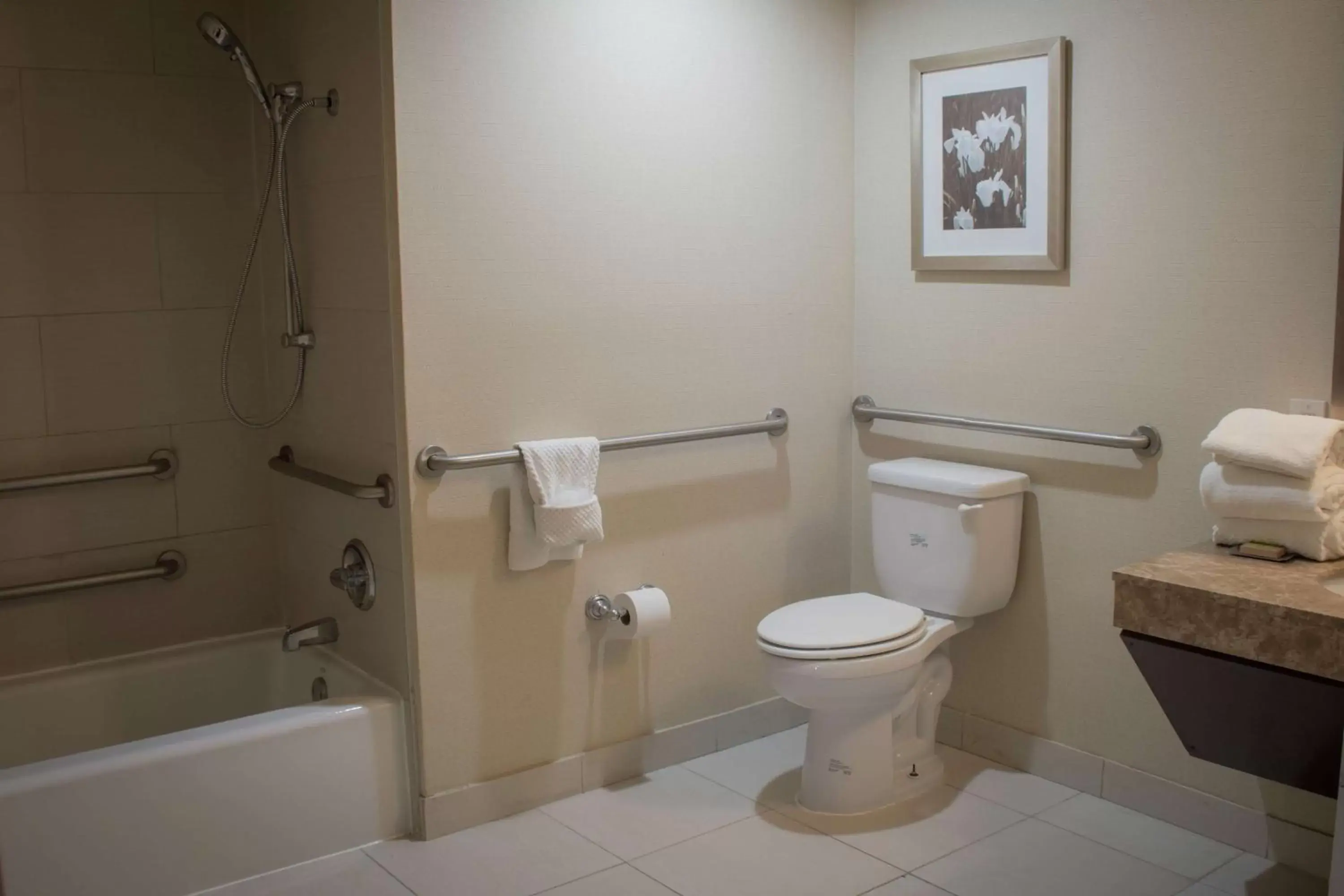 Bathroom in DoubleTree by Hilton Midland Plaza