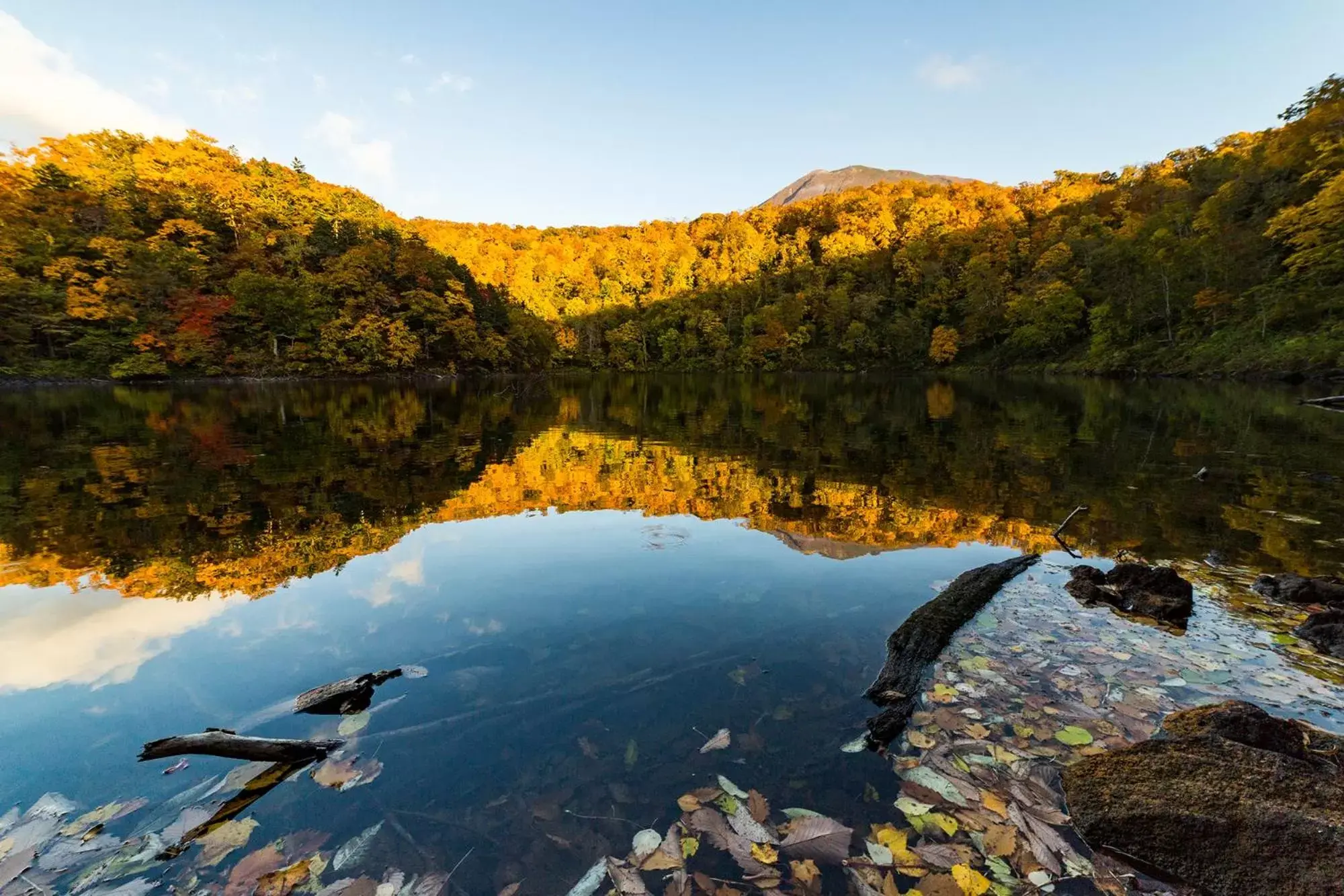 Other in Ki Niseko