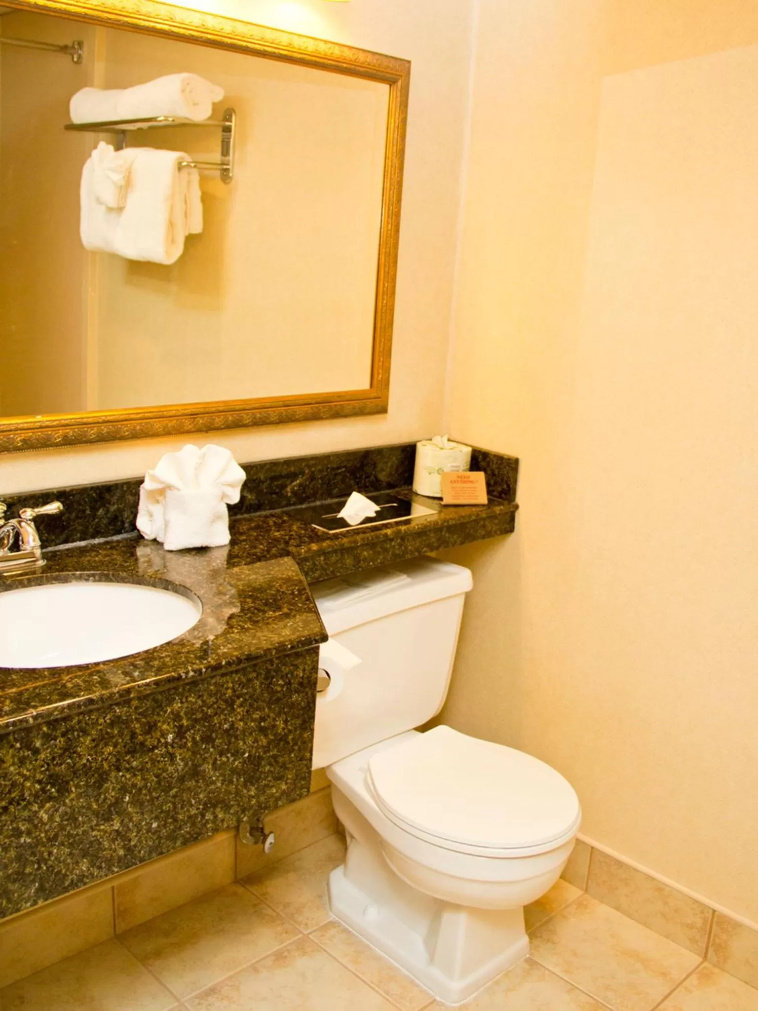 Bathroom in Quality Inn East Stroudsburg - Poconos