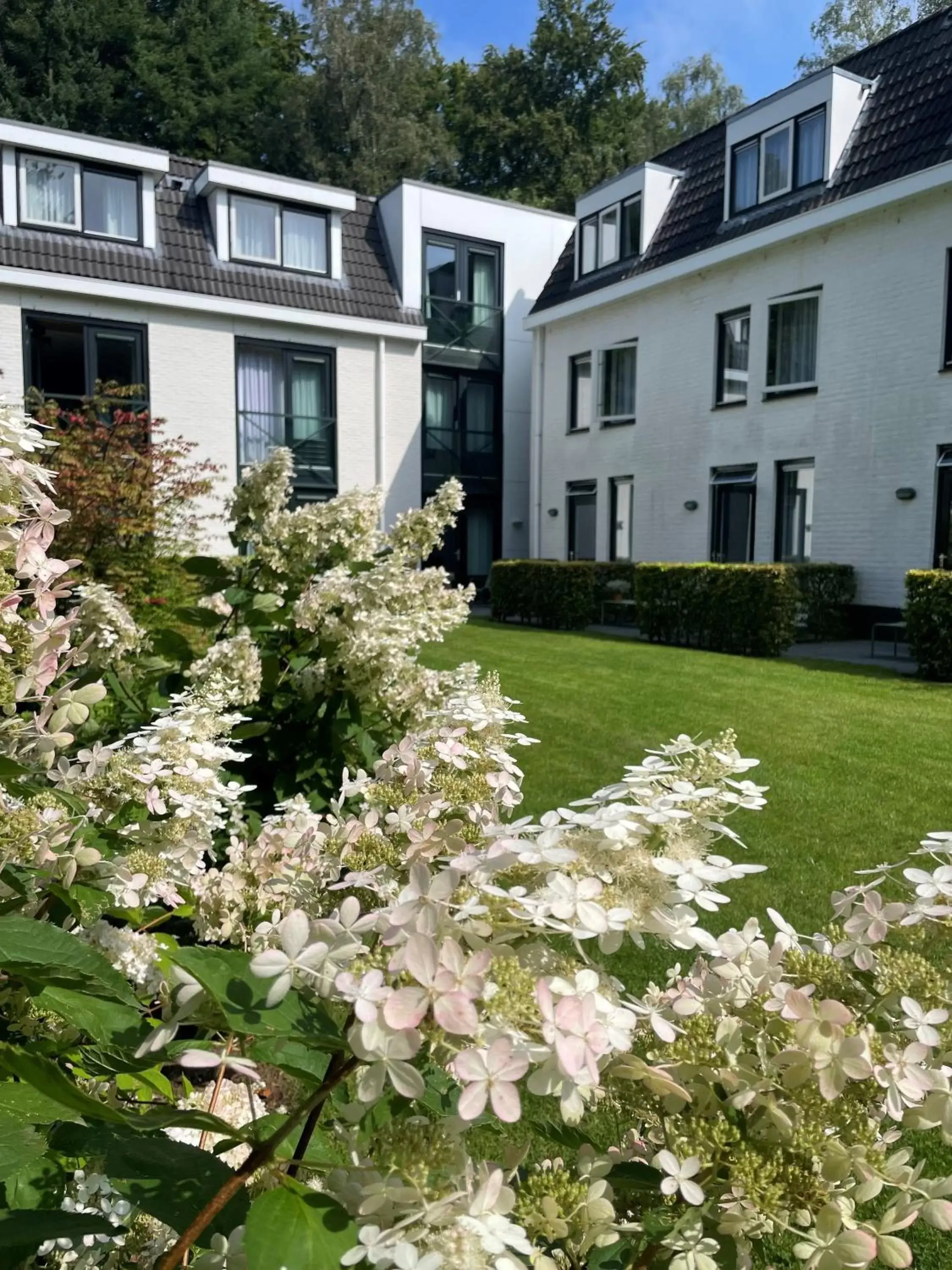 Day, Property Building in Witte Berken Natuurhotel