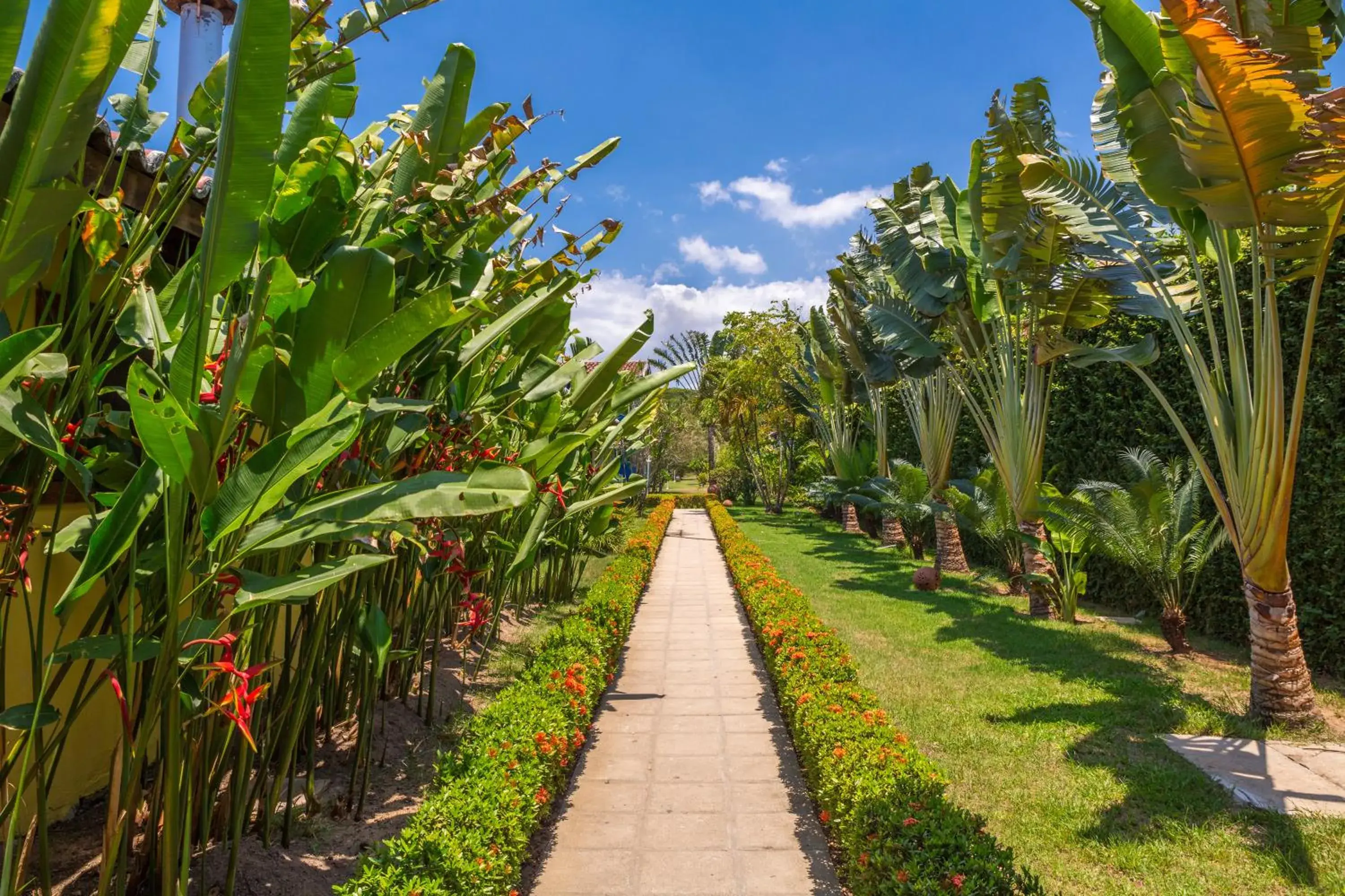 Day, Garden in Atlantida Park Hotel