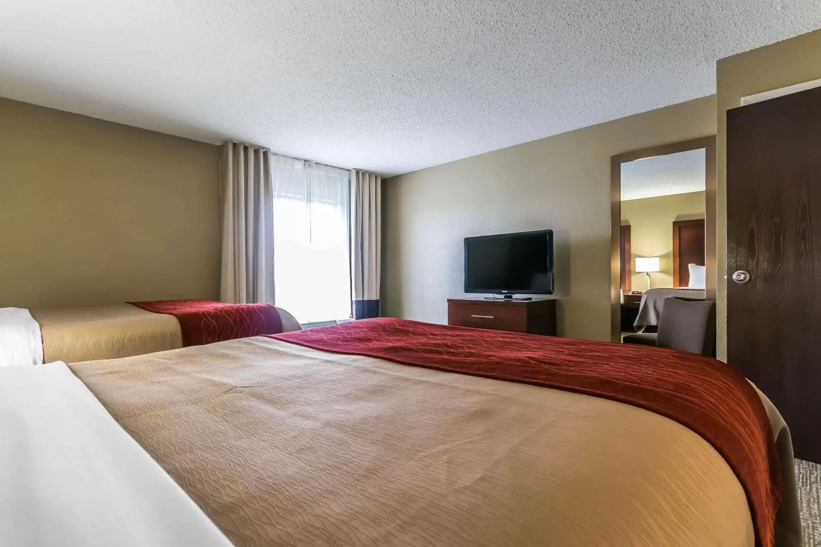 Photo of the whole room, Bed in Comfort Inn & Suites Lexington