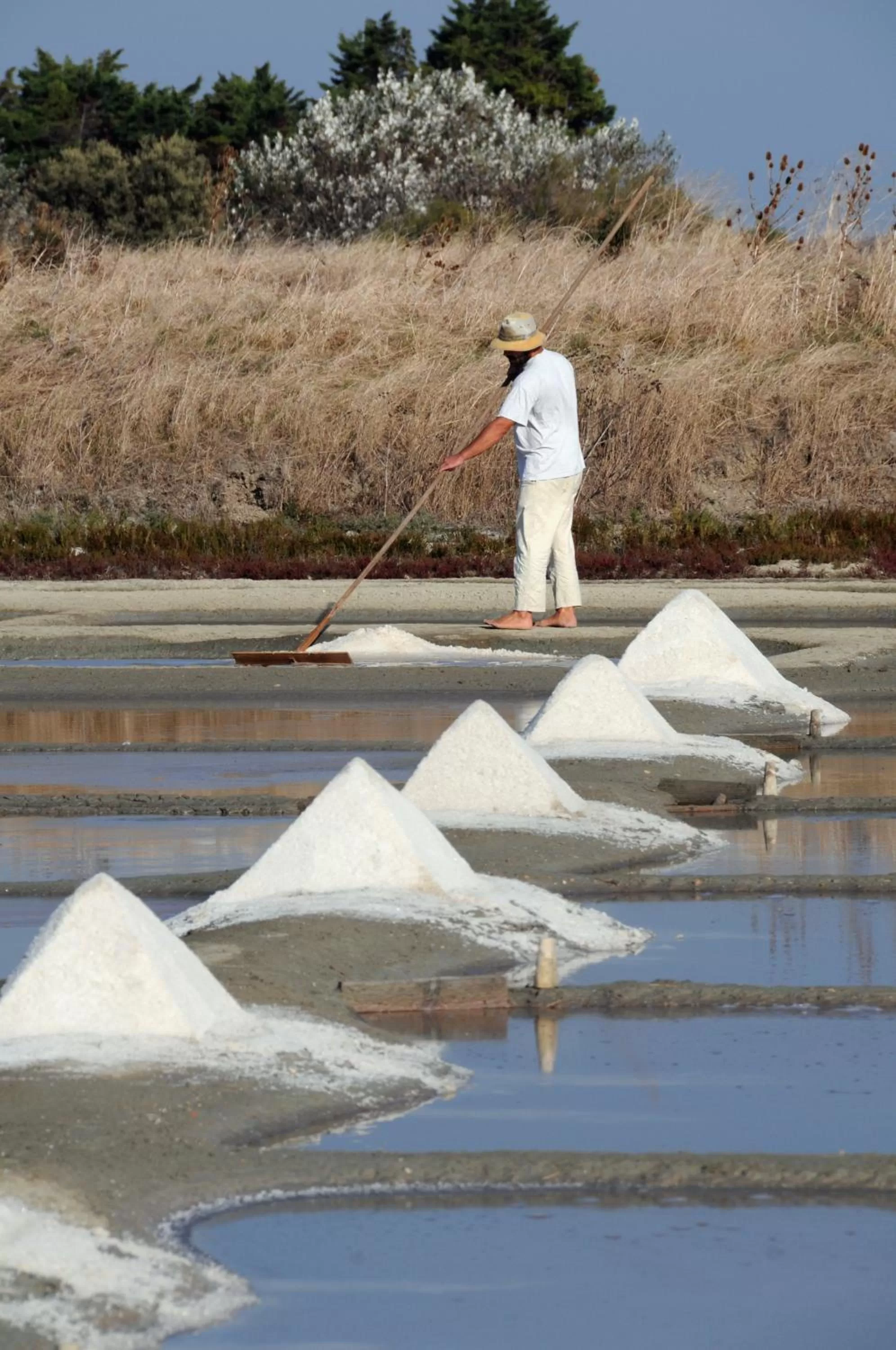 Area and facilities in Hôtel Restaurant & Spa Plaisir