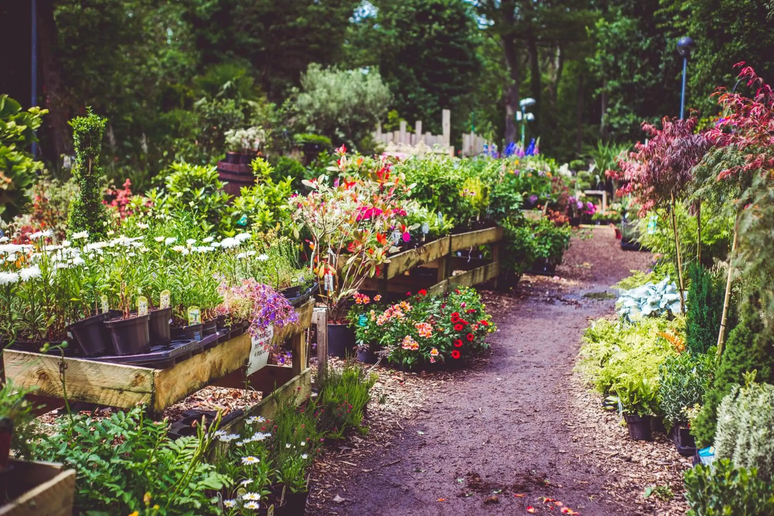 Garden in Beamish Hall Country House Hotel, BW Premier Collection