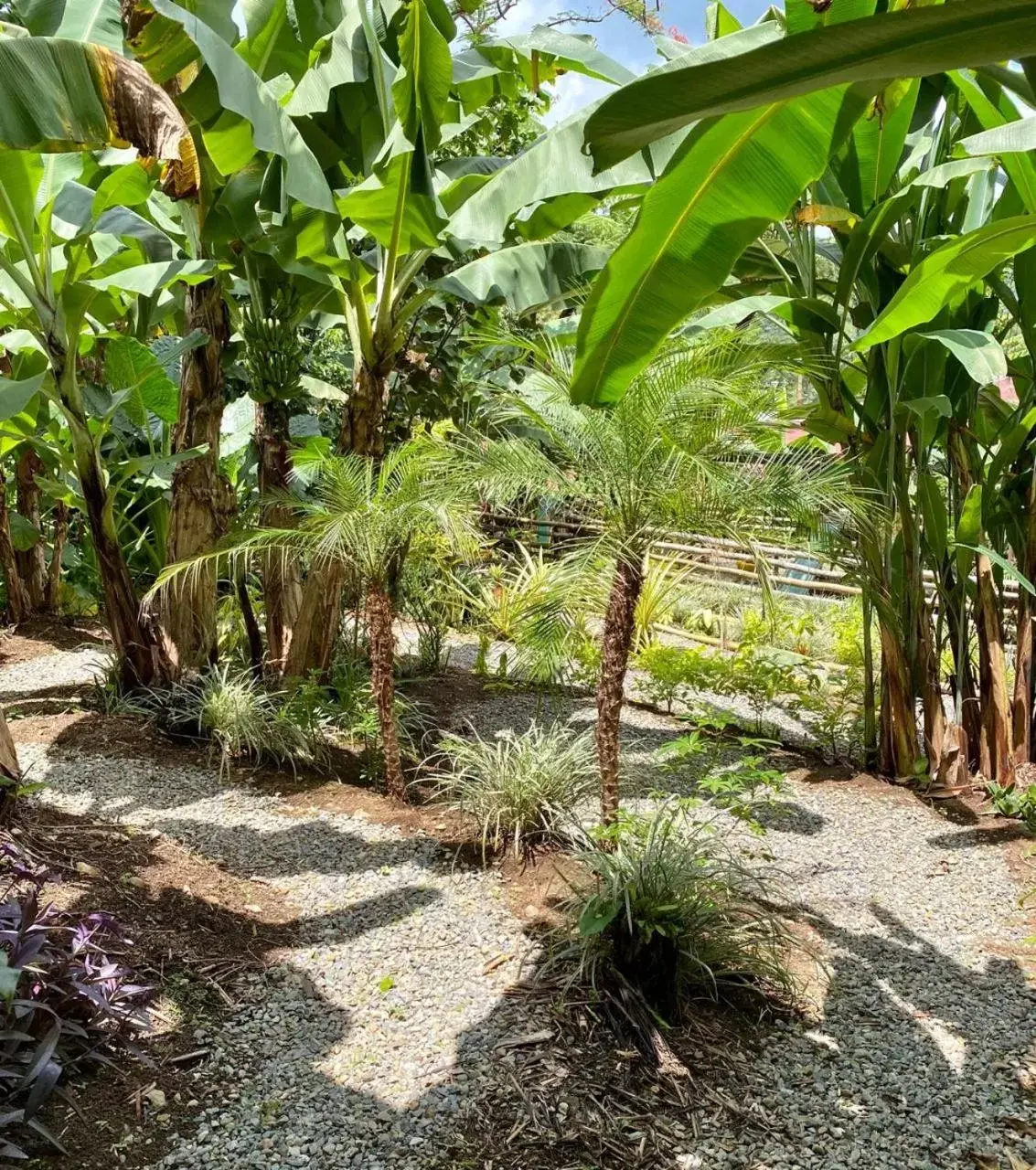 Garden in Argovia Finca Resort