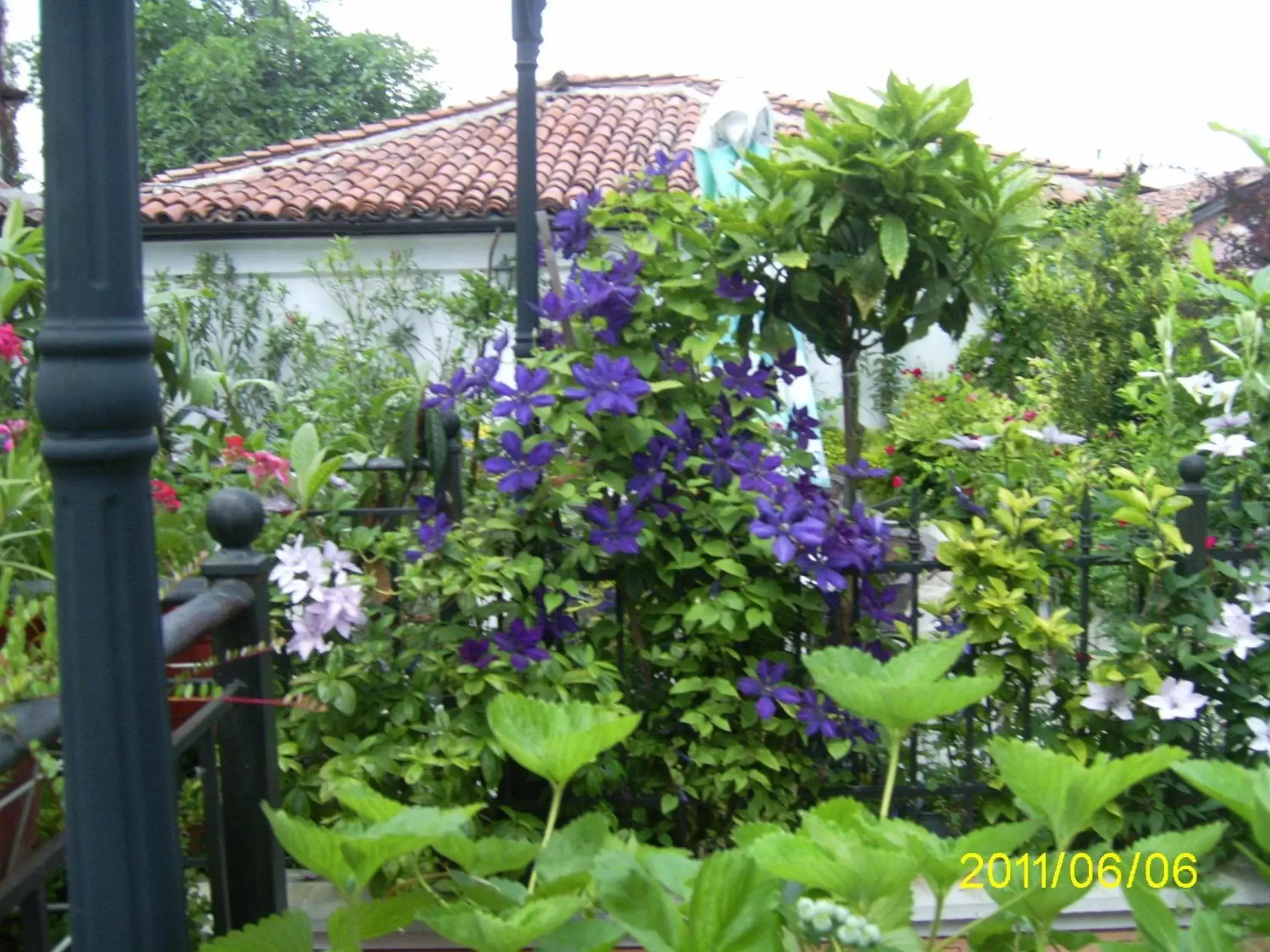 Garden in Hotel Alafrangite