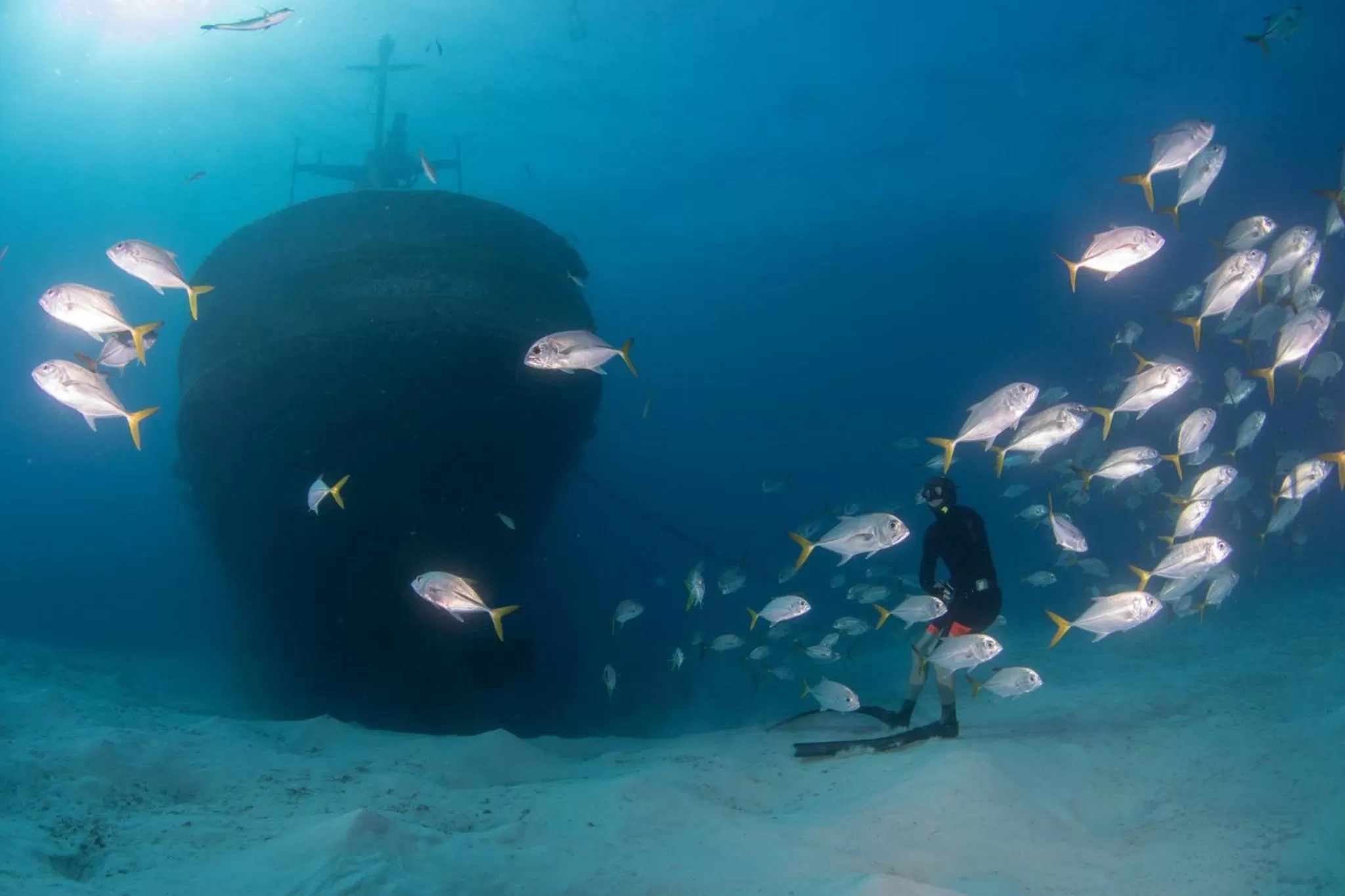 Area and facilities in Holiday Inn Resort Grand Cayman by IHG