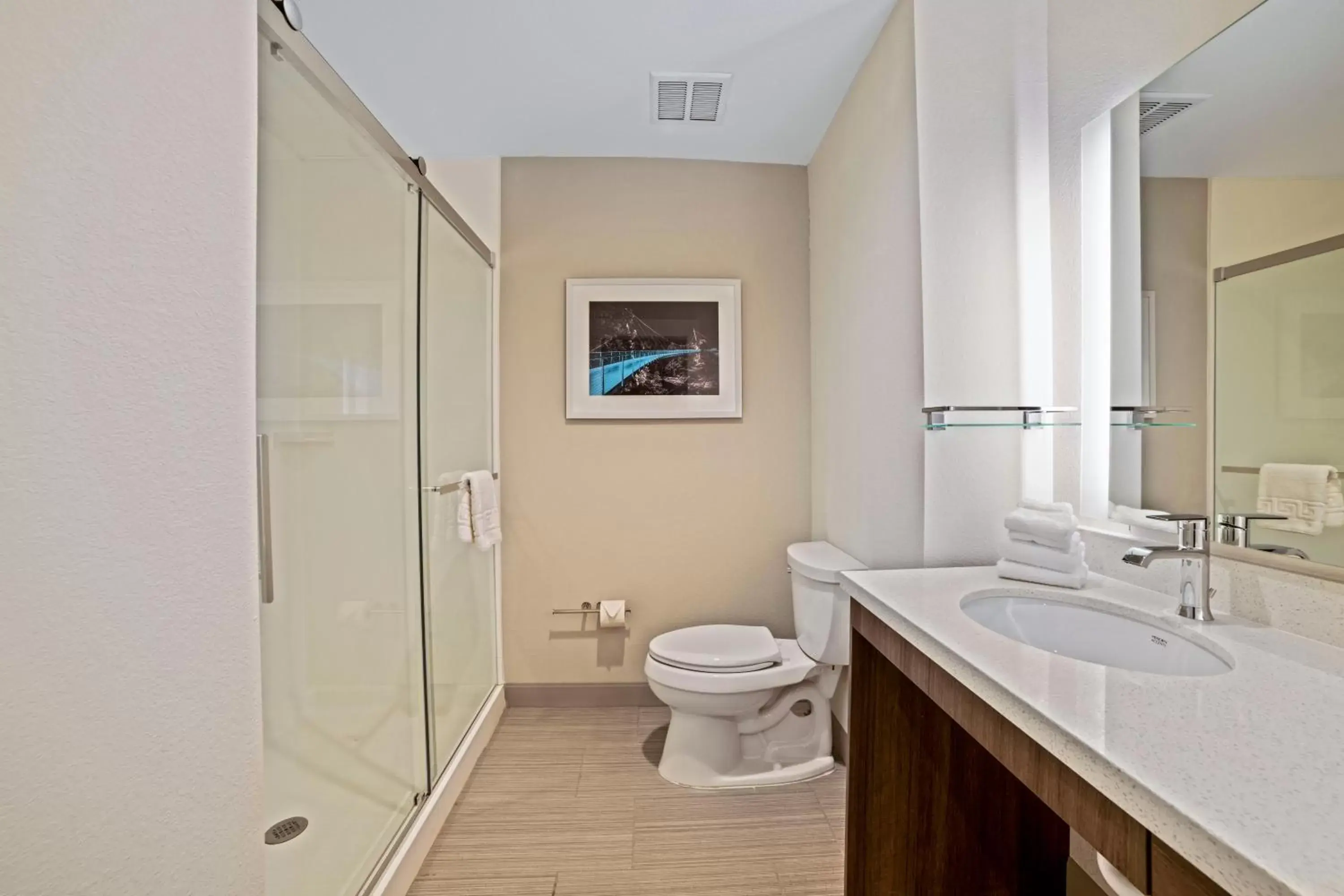 Bathroom in Extended Stay America Premier Suites - Greenville - Woodruff Road