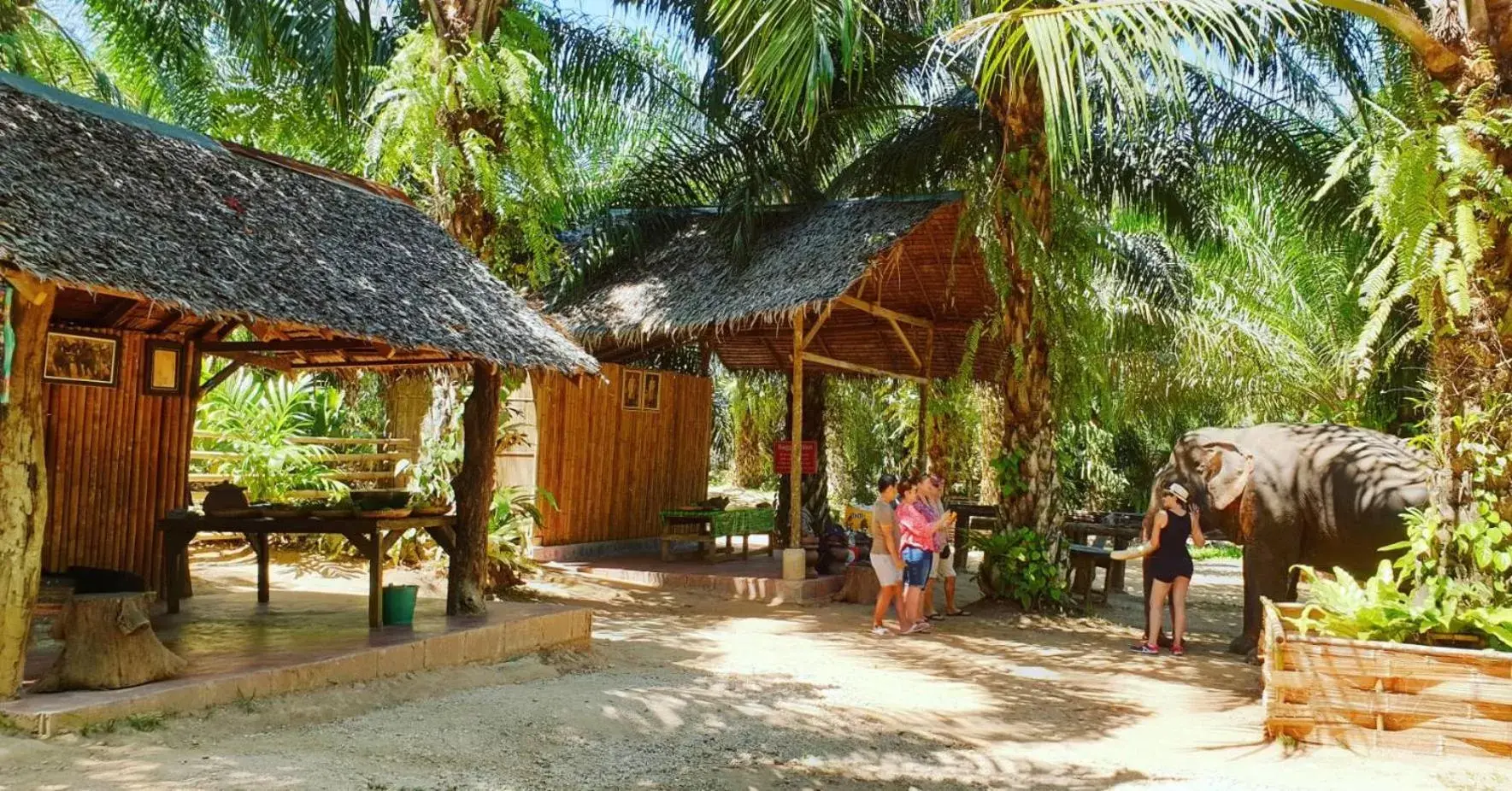 Natural landscape in Khao Sok River Home Resort