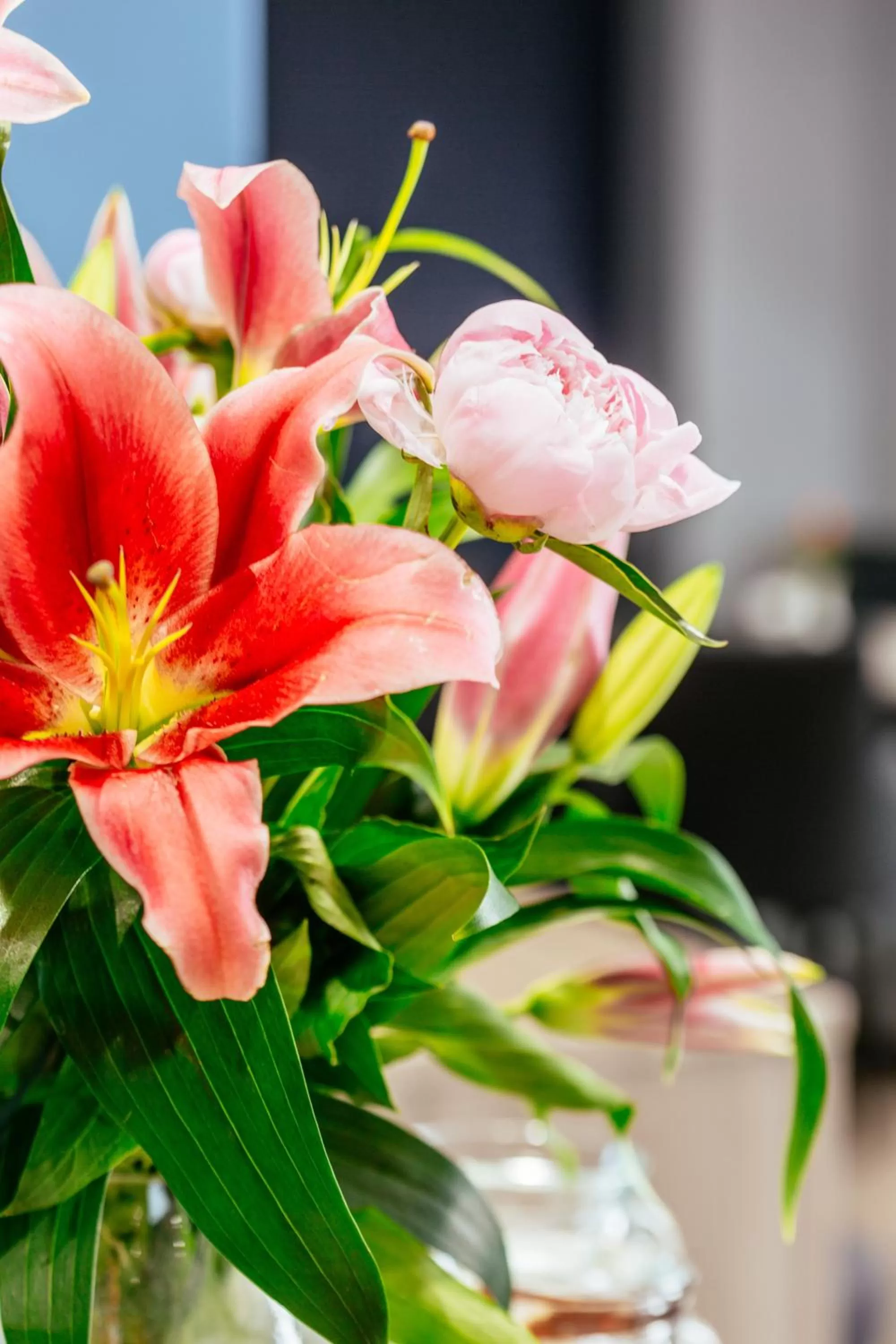 Decorative detail in Oliver Plaza Hotel