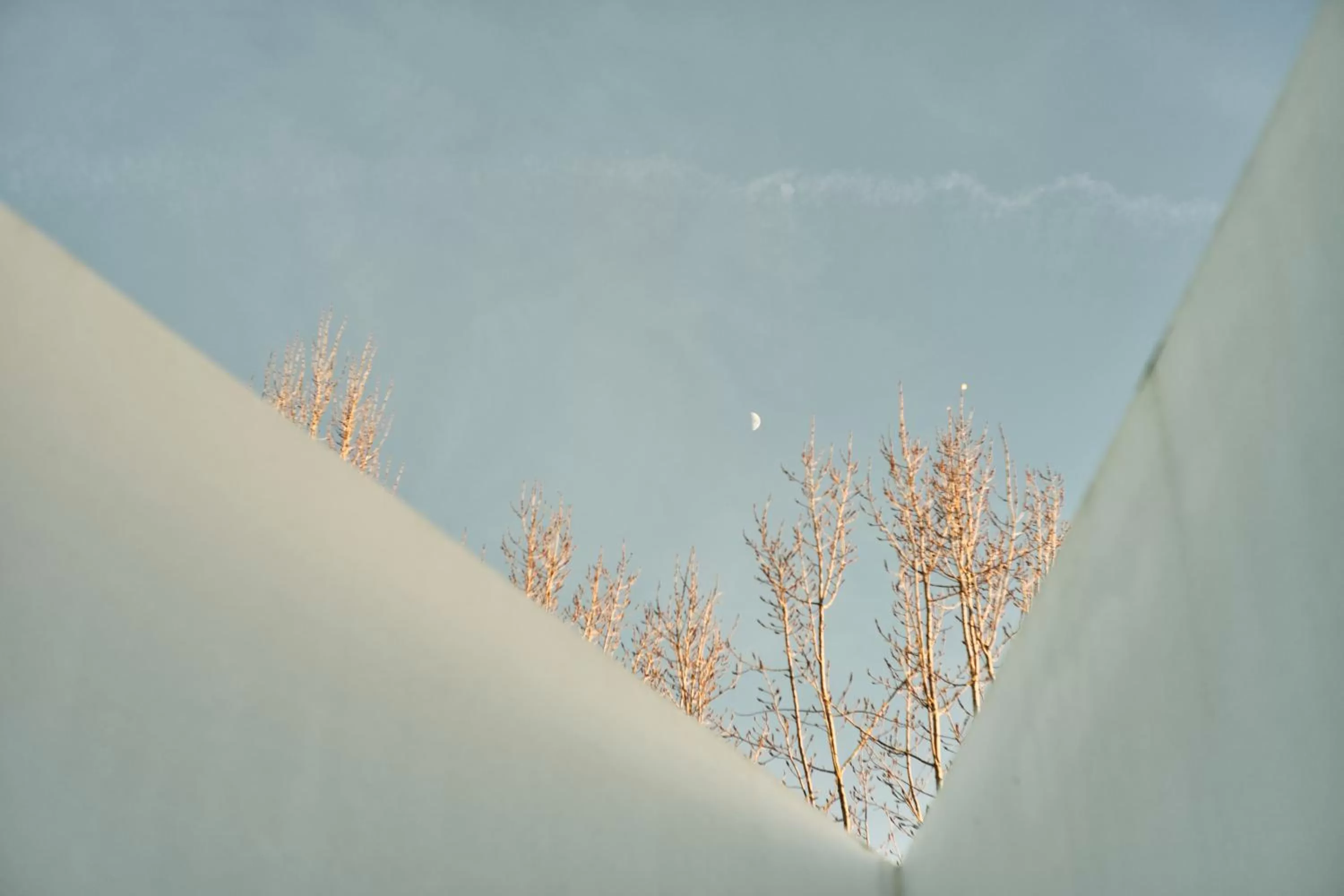 Natural landscape in L'AND Vineyards - Relais & Châteaux