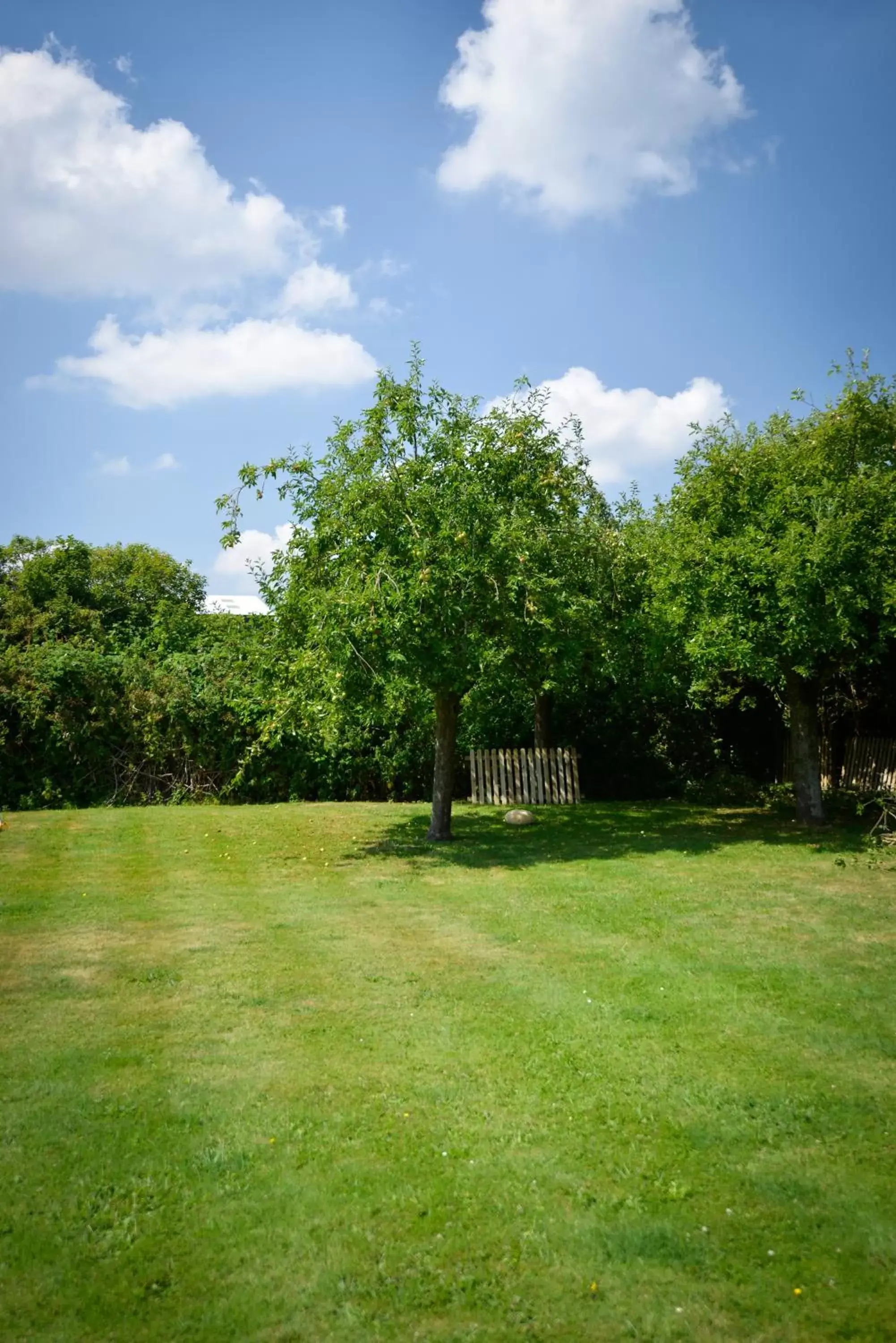 Garden view, Garden in Crazy Fox Hurley Boutique B&B