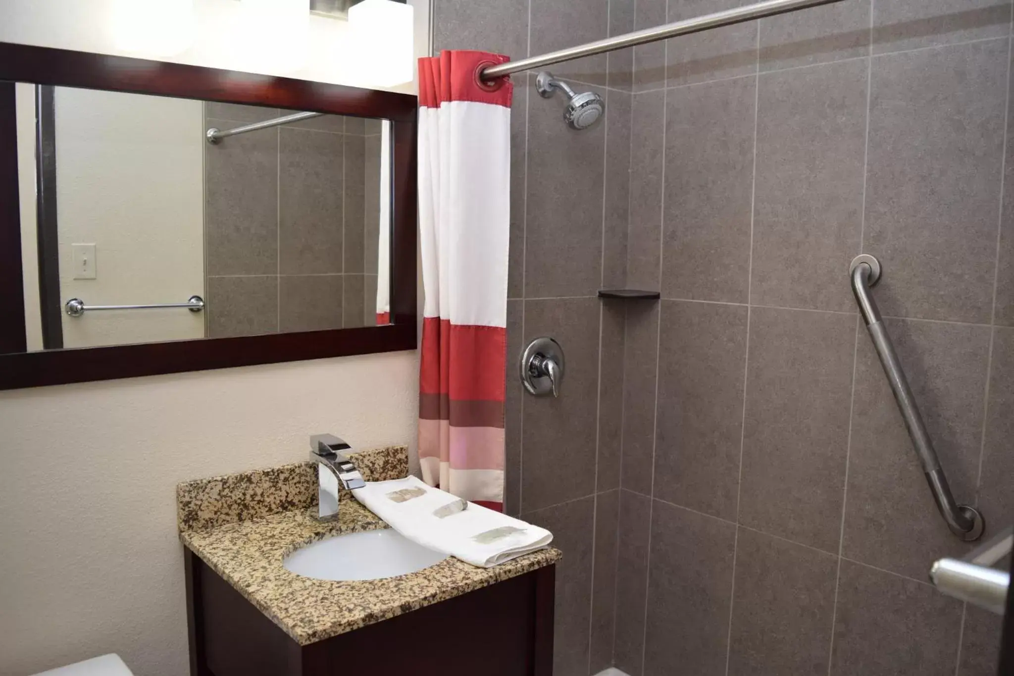 Bathroom in Red Roof Inn Batavia