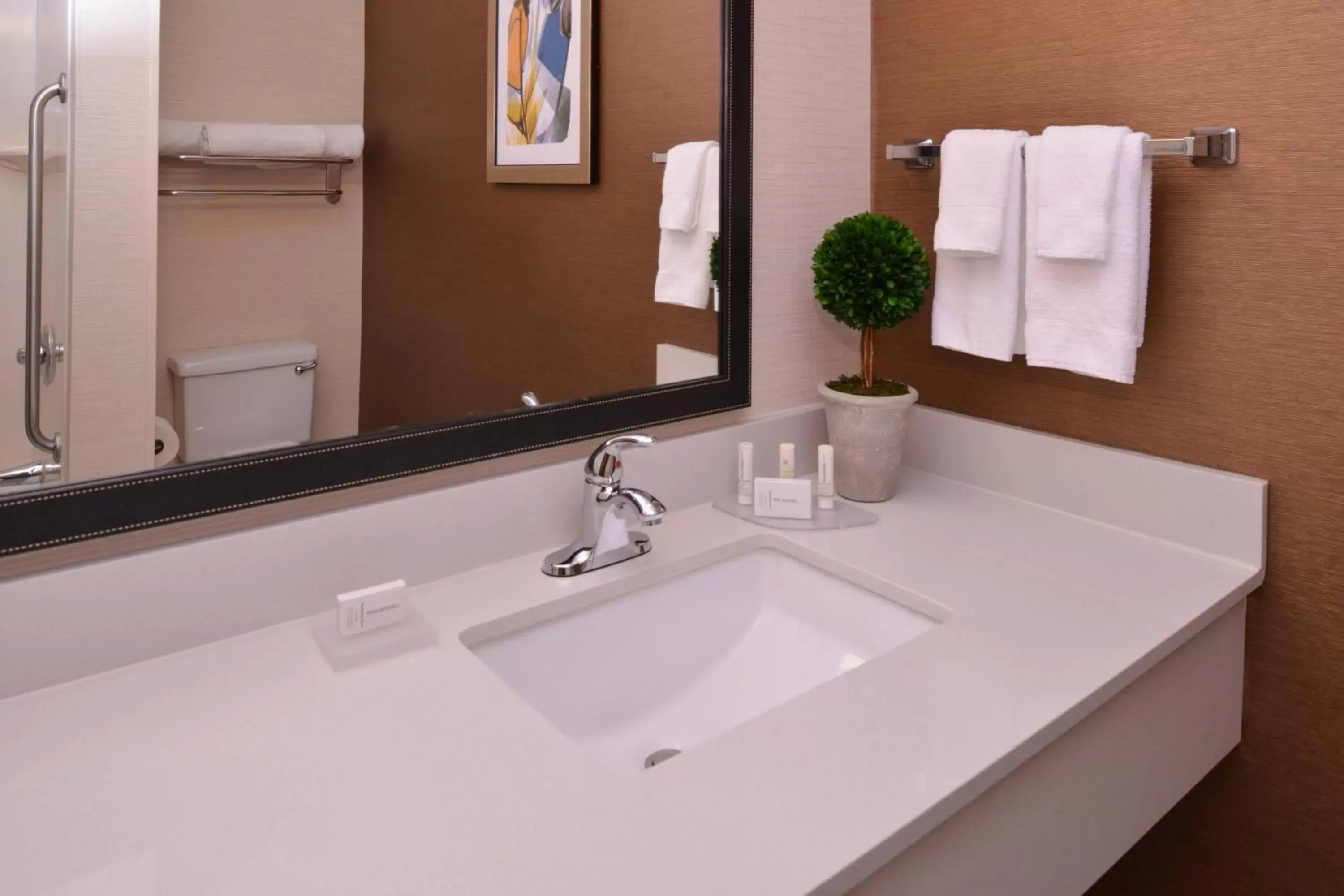 Bathroom in Fairfield Inn & Suites by Marriott Anderson Clemson