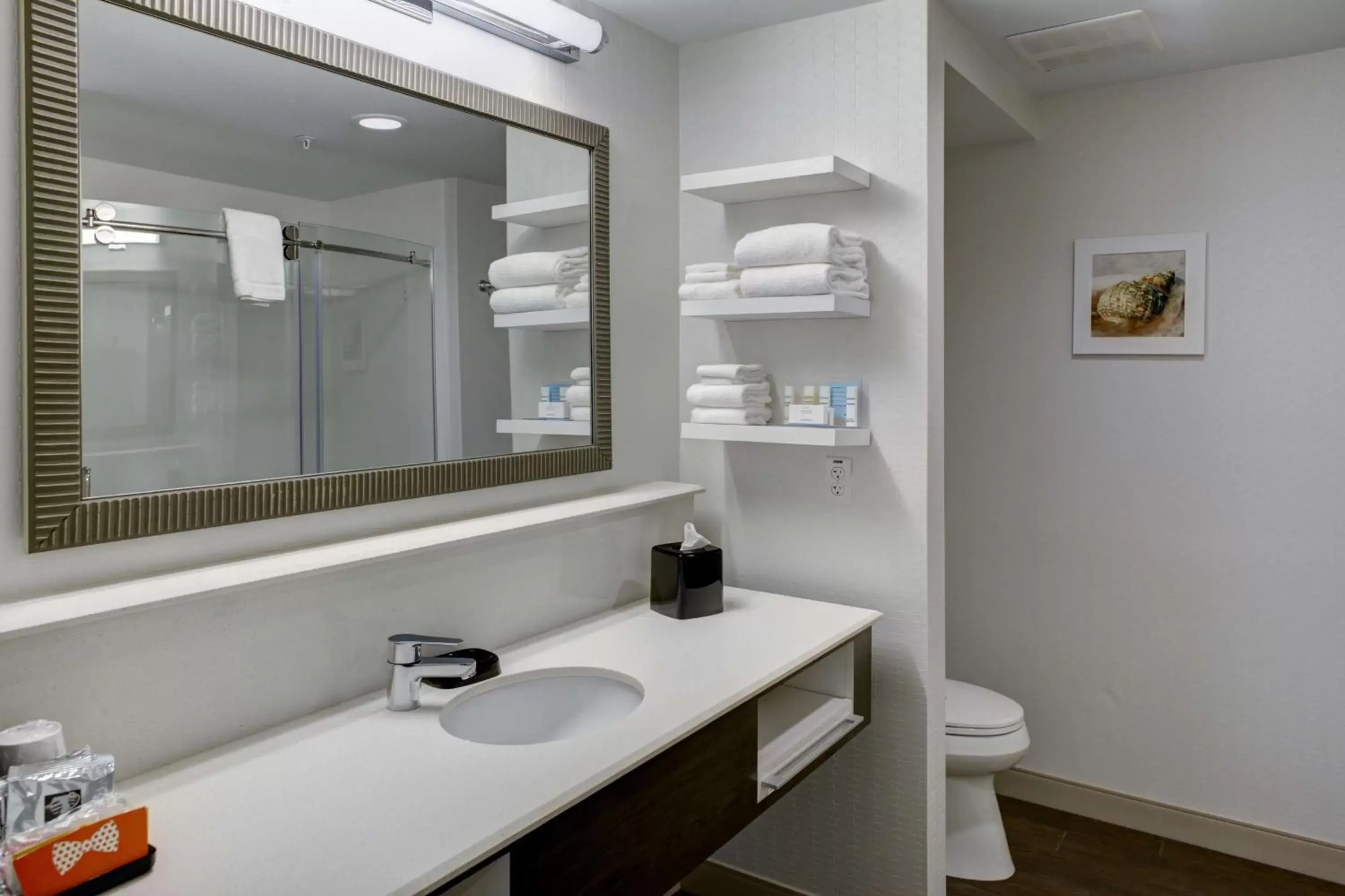 Bathroom in Hampton Inn and Suites by Hilton Vero Beach-Downtown