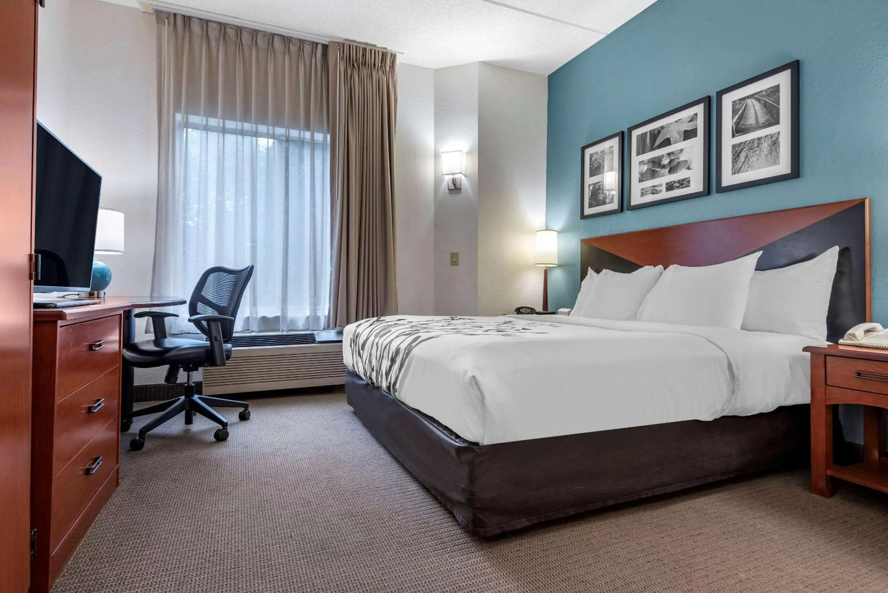 Photo of the whole room, Bed in Sleep Inn Amherst - Buffalo North near University