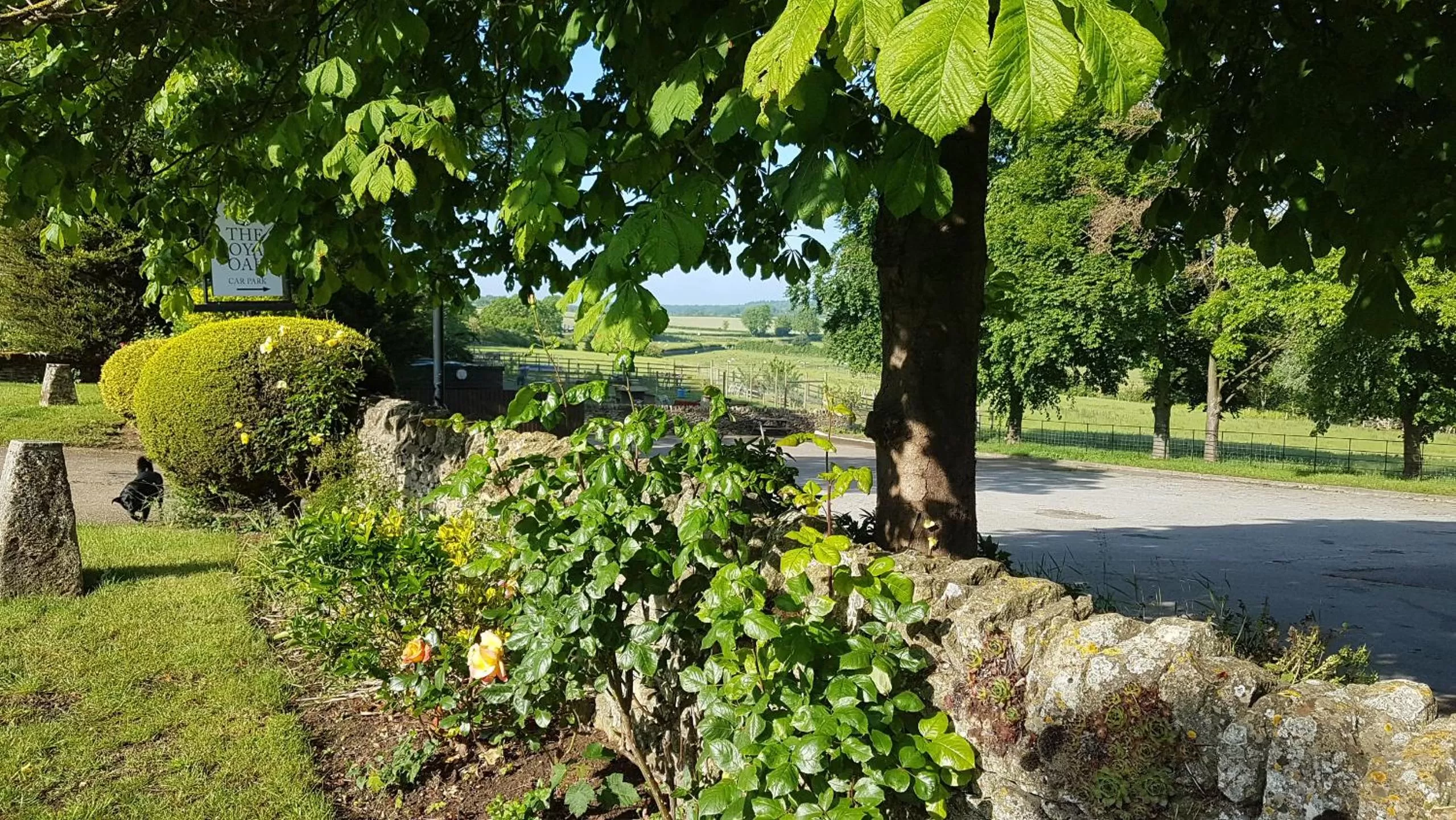 Property building in The Royal Oak Duddington