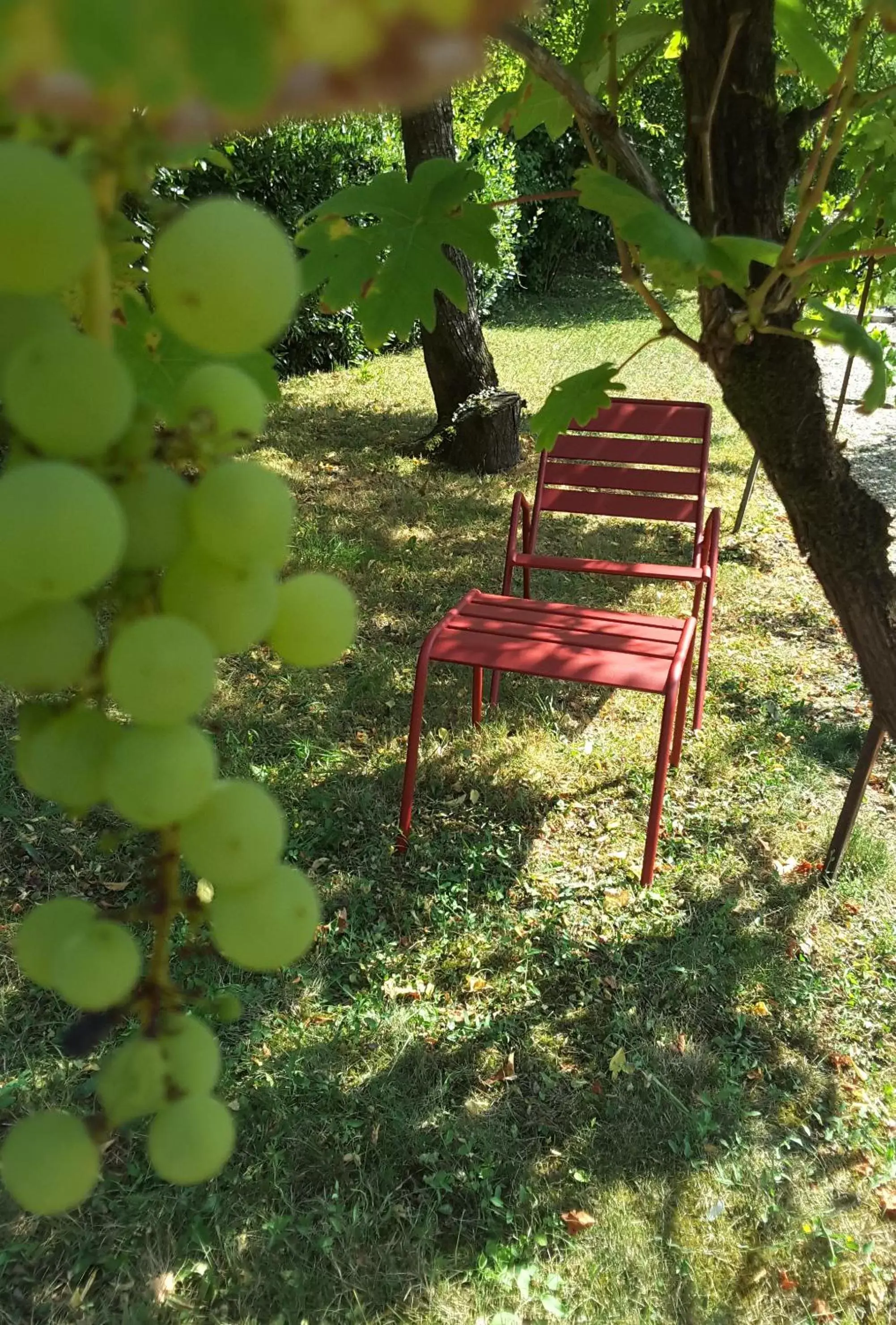 Garden in La Maison des Thermes, Chambre d'hôte