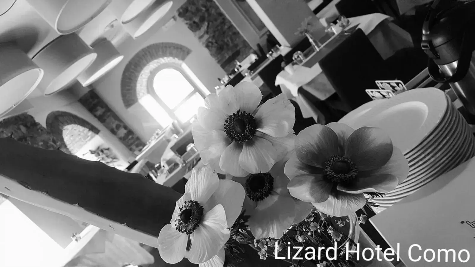 Breakfast in Lizard Hotel