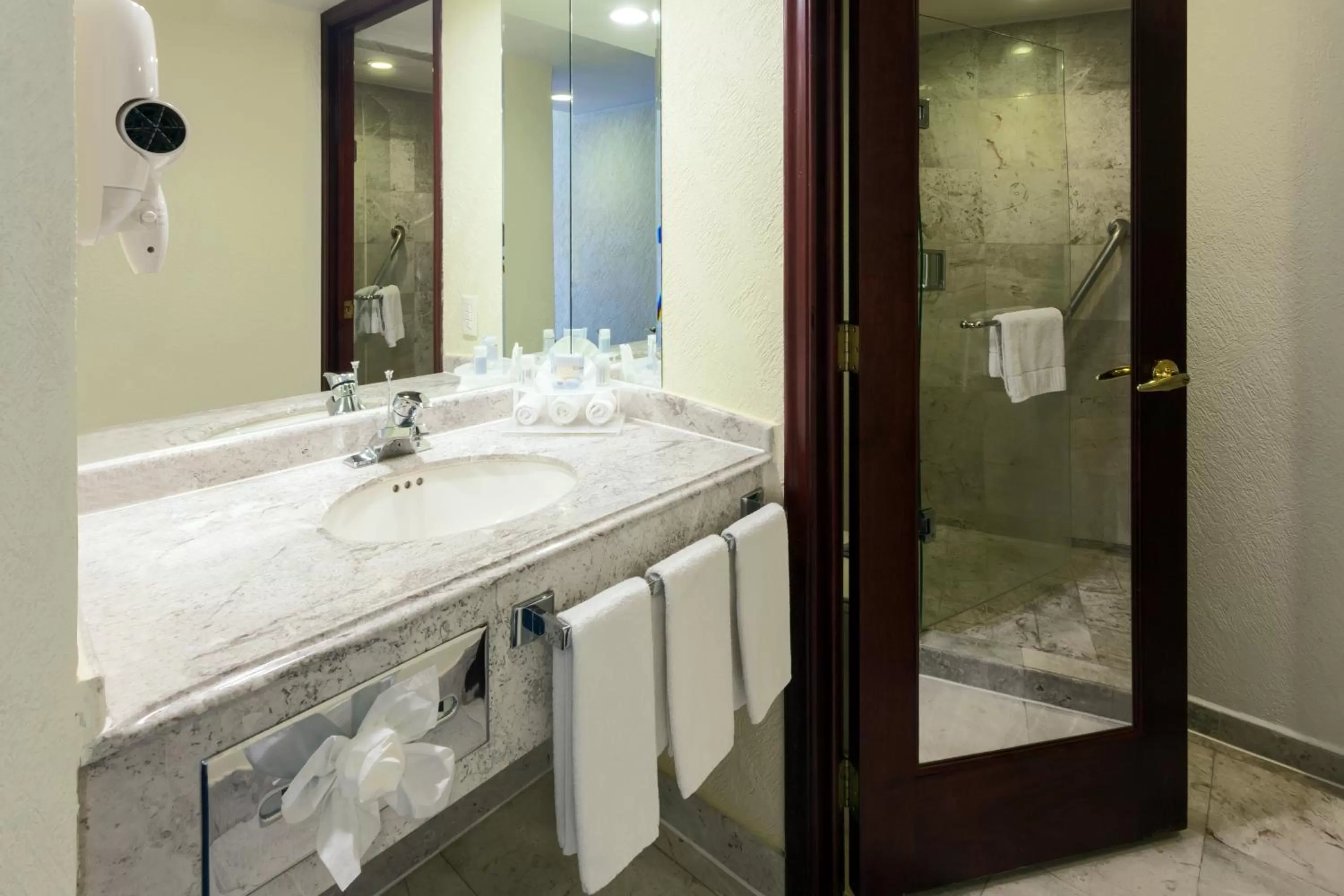 Bathroom in Holiday Inn Express Oaxaca - Centro Historico by IHG