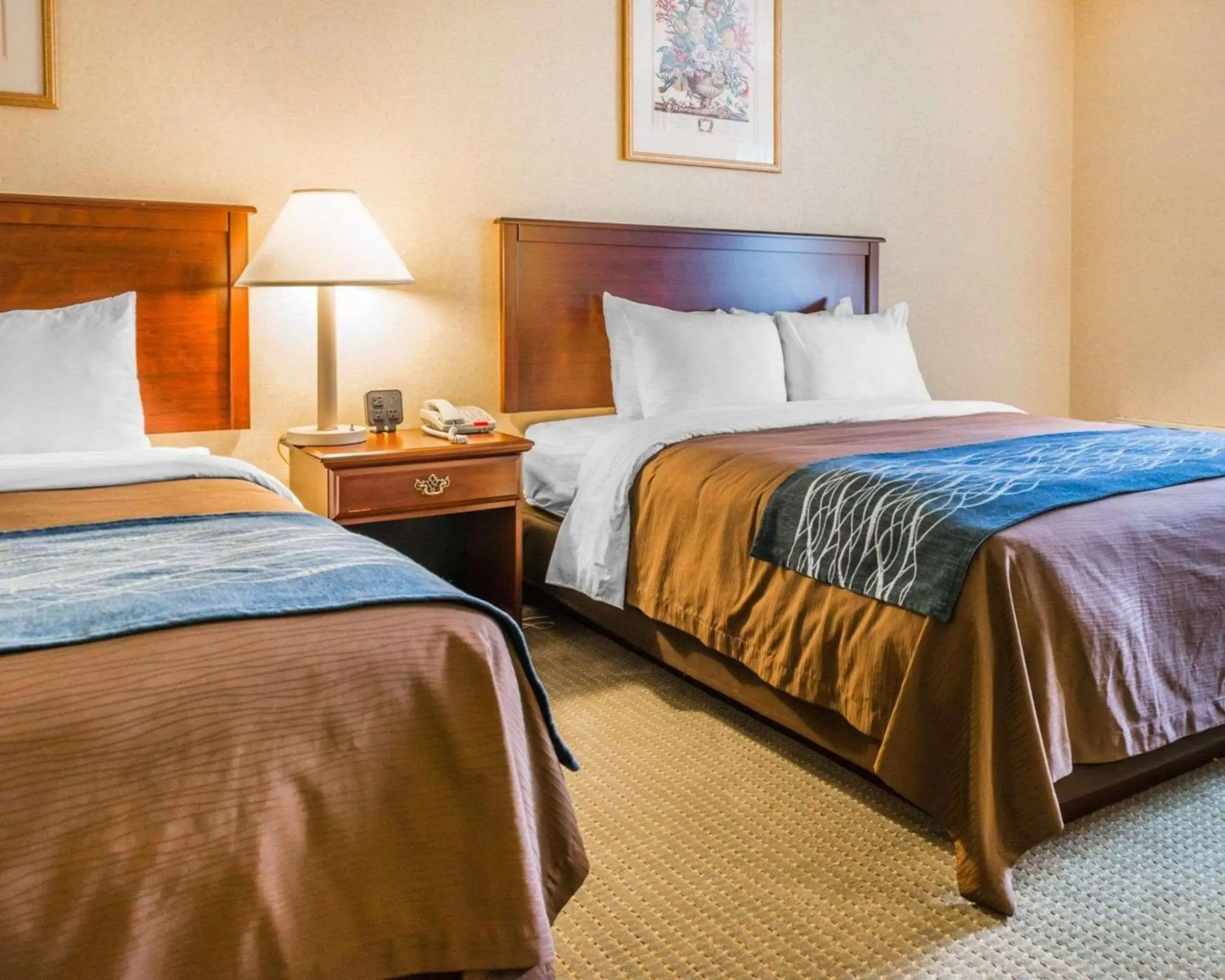 Photo of the whole room, Bed in Rodeway Inn Mercer