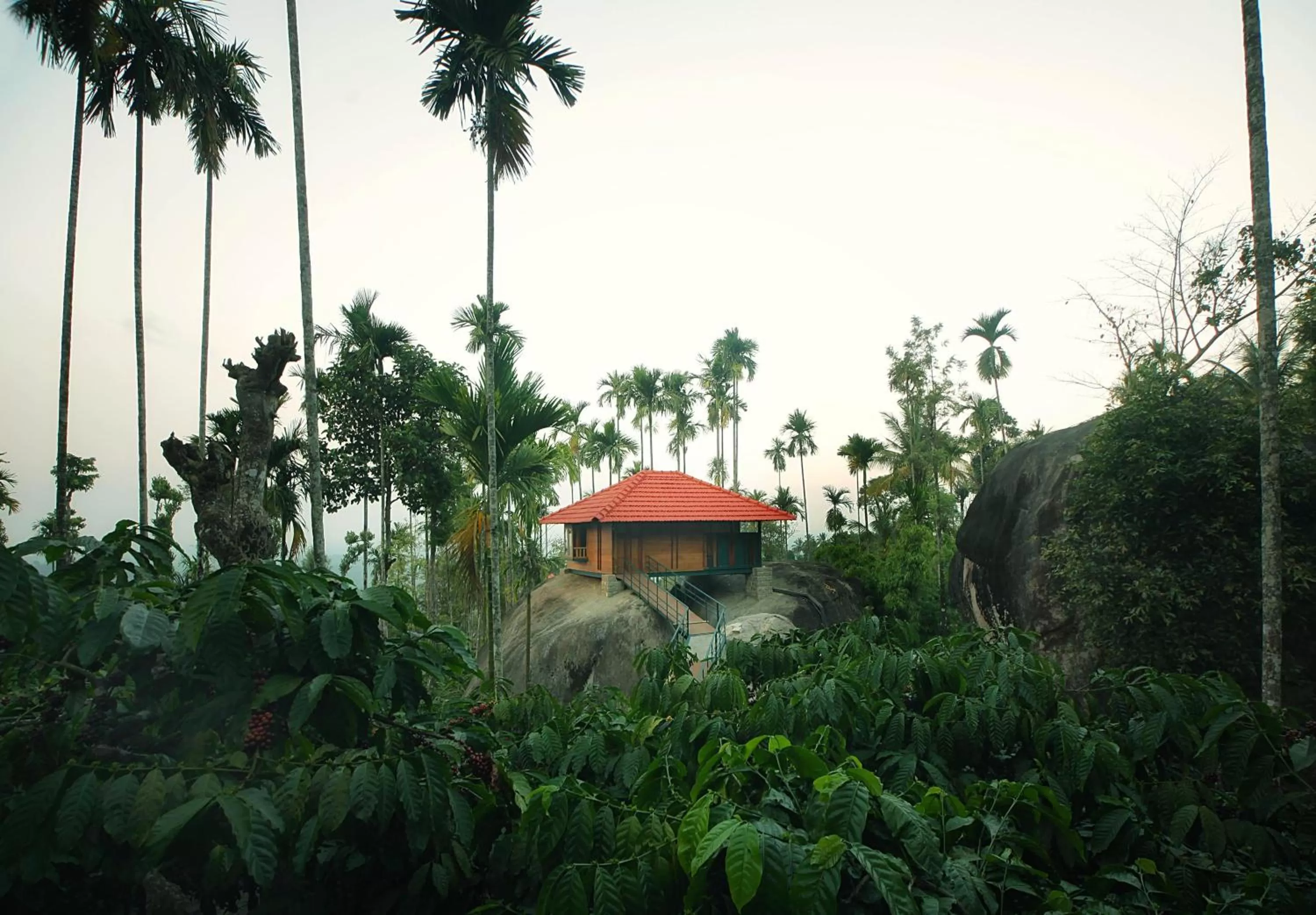 Area and facilities in Marmalade Springs Resort Wayanad