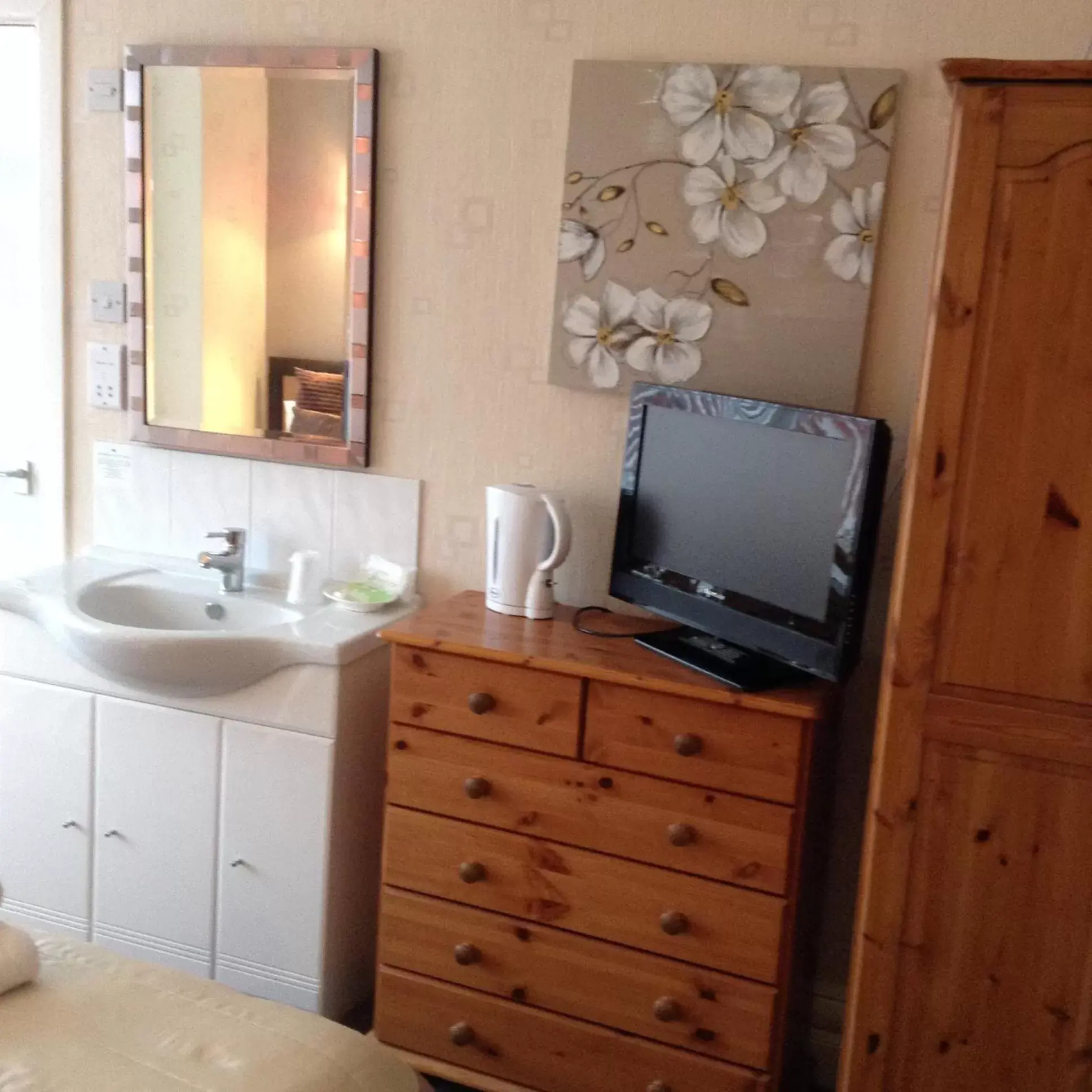 TV and multimedia, Bathroom in The Fernroyd