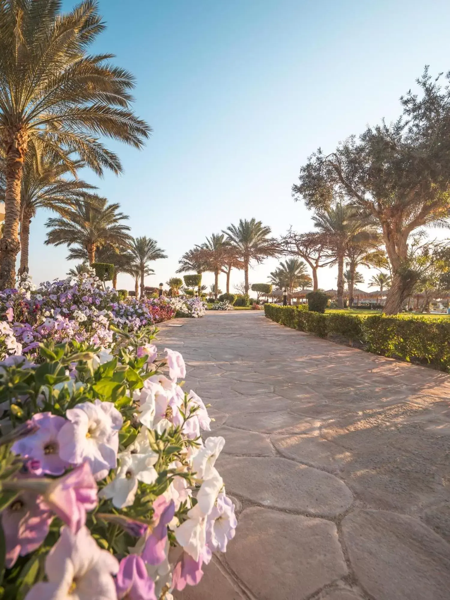 Garden in Hurghada Long Beach Resort