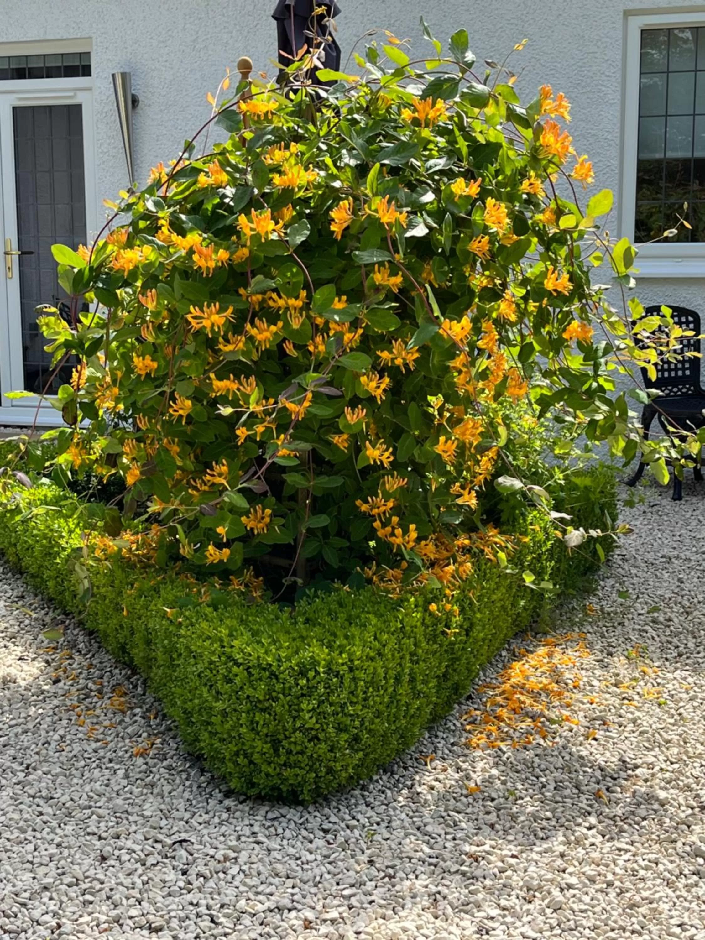 Retreat at The Knowe Auchincruive Estate