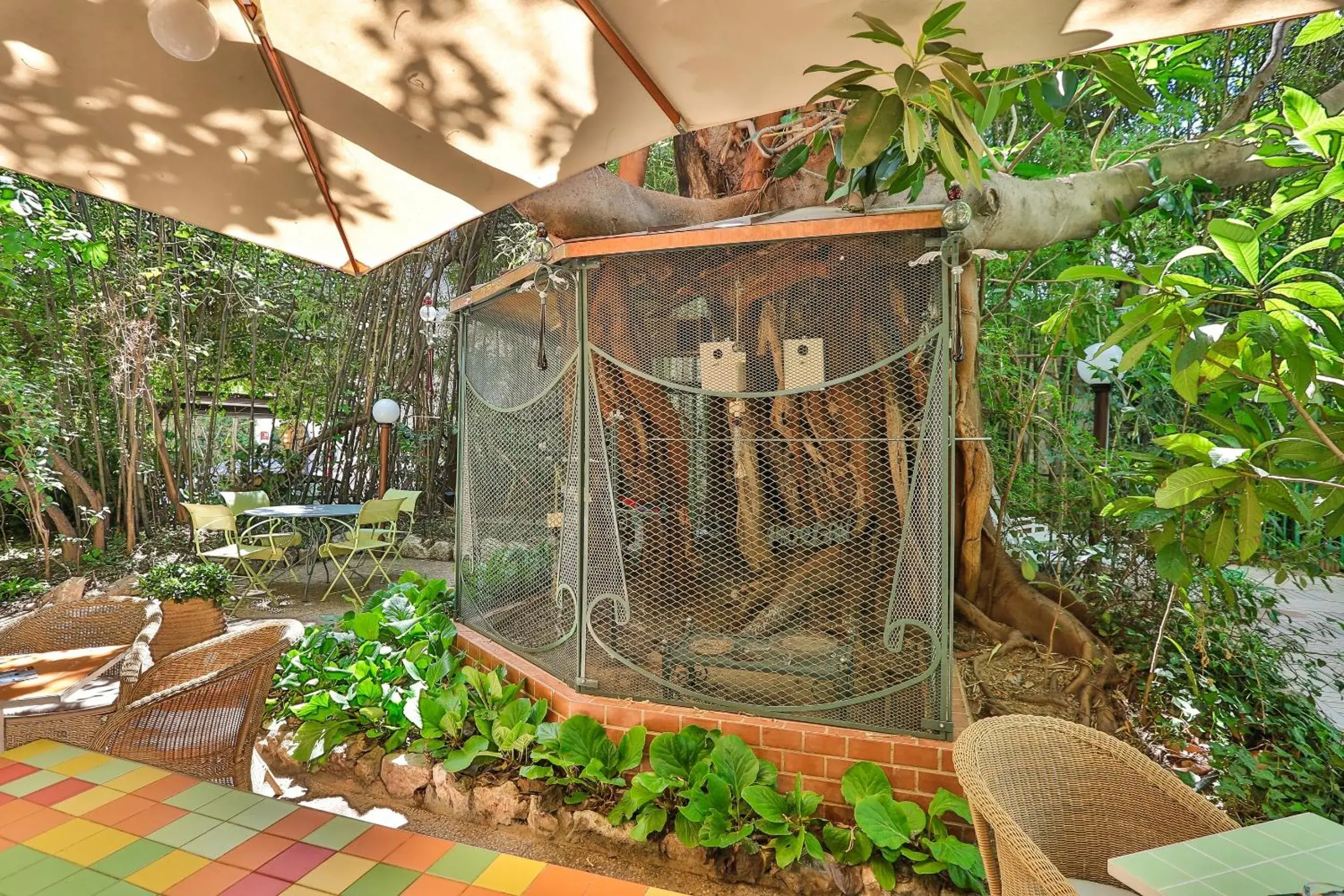 Patio in Le Windsor, Jungle Art Hotel