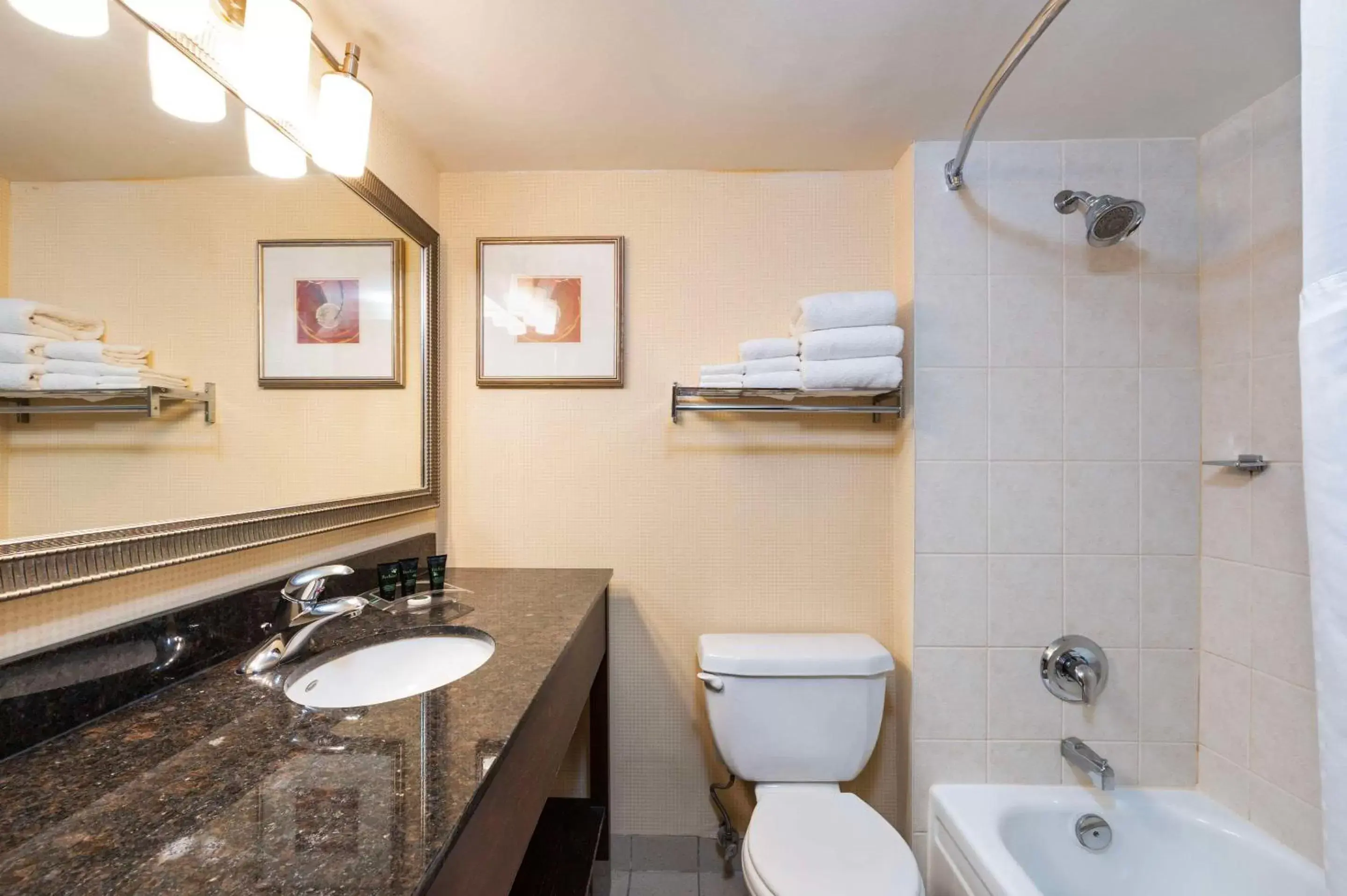 Bathroom in Allure Hotel & Conference Centre, Ascend Hotel Collection