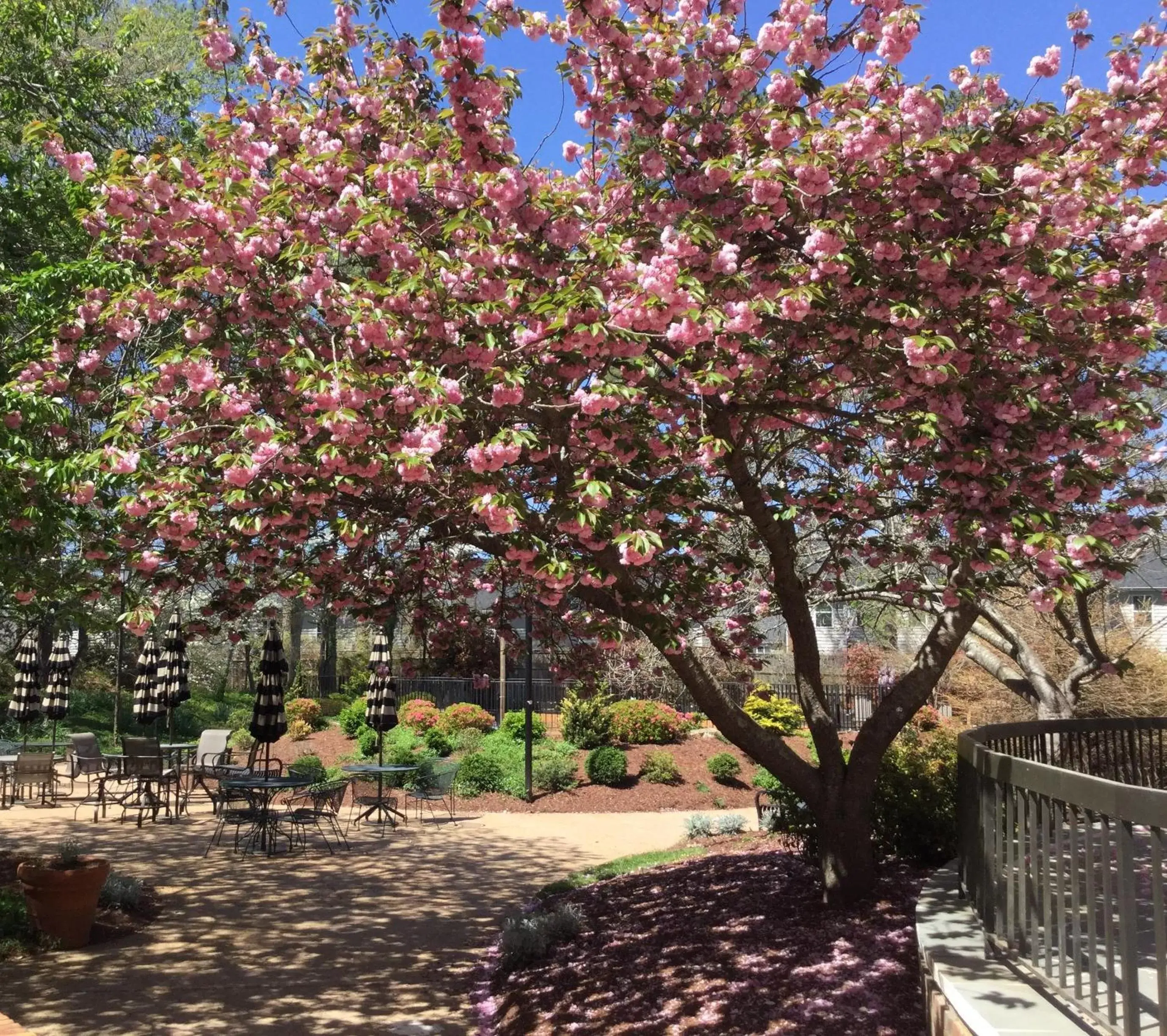 Garden in Fort Magruder Historic Williamsburg, Trademark by Wyndham