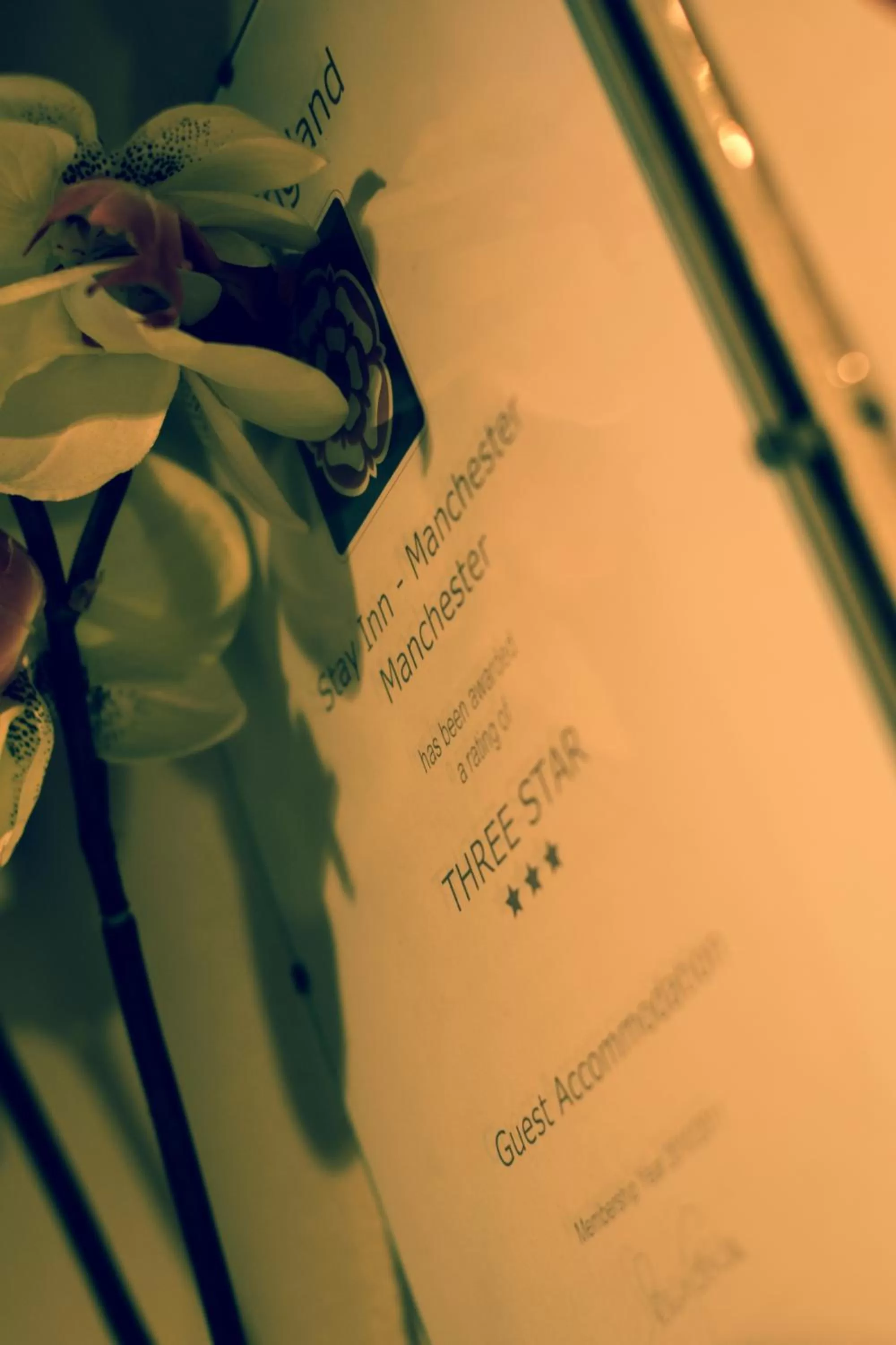 Lobby or reception in Stay Inn Manchester