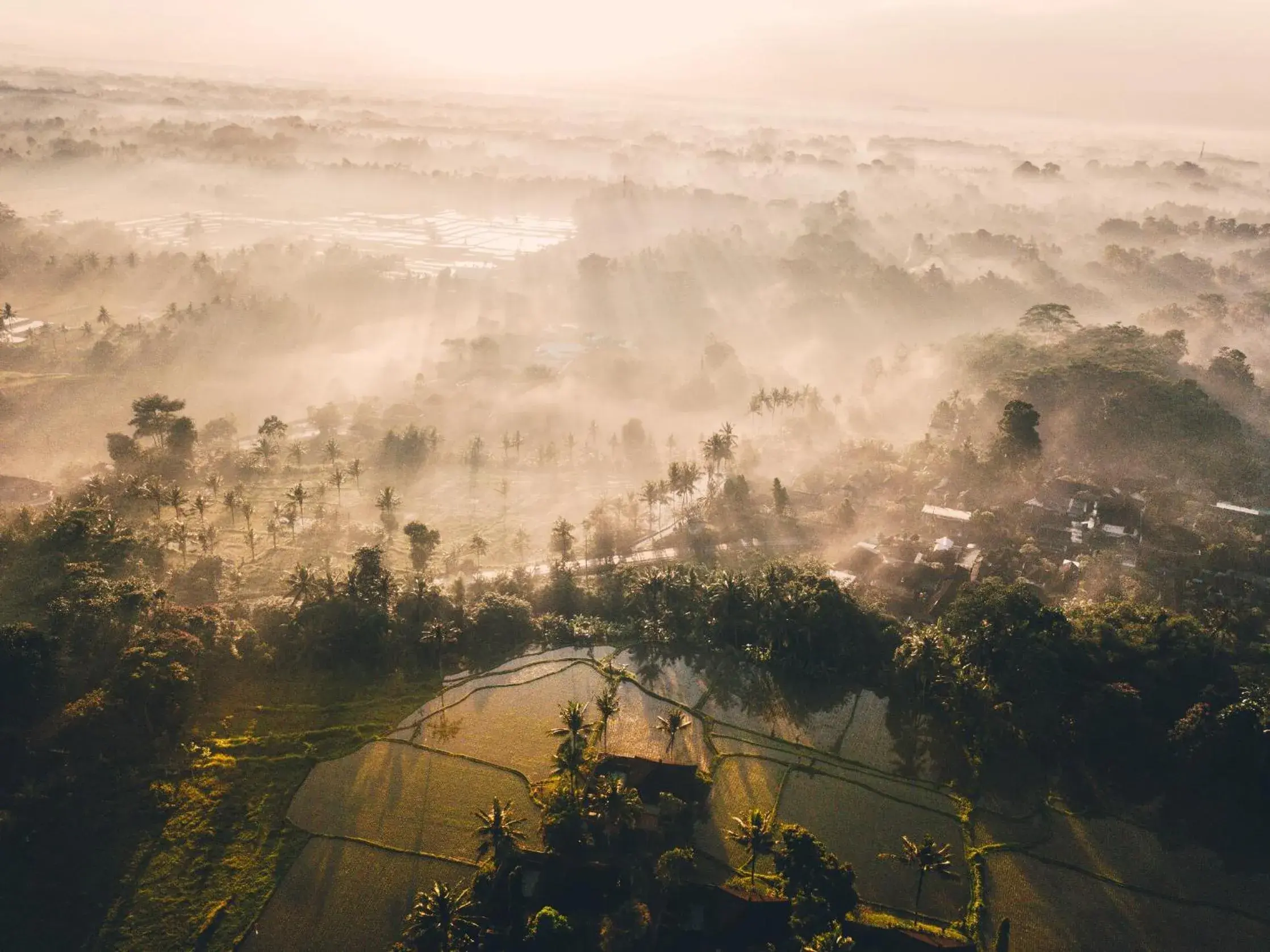 Bird's eye view in Tanah Gajah, a Resort by Hadiprana