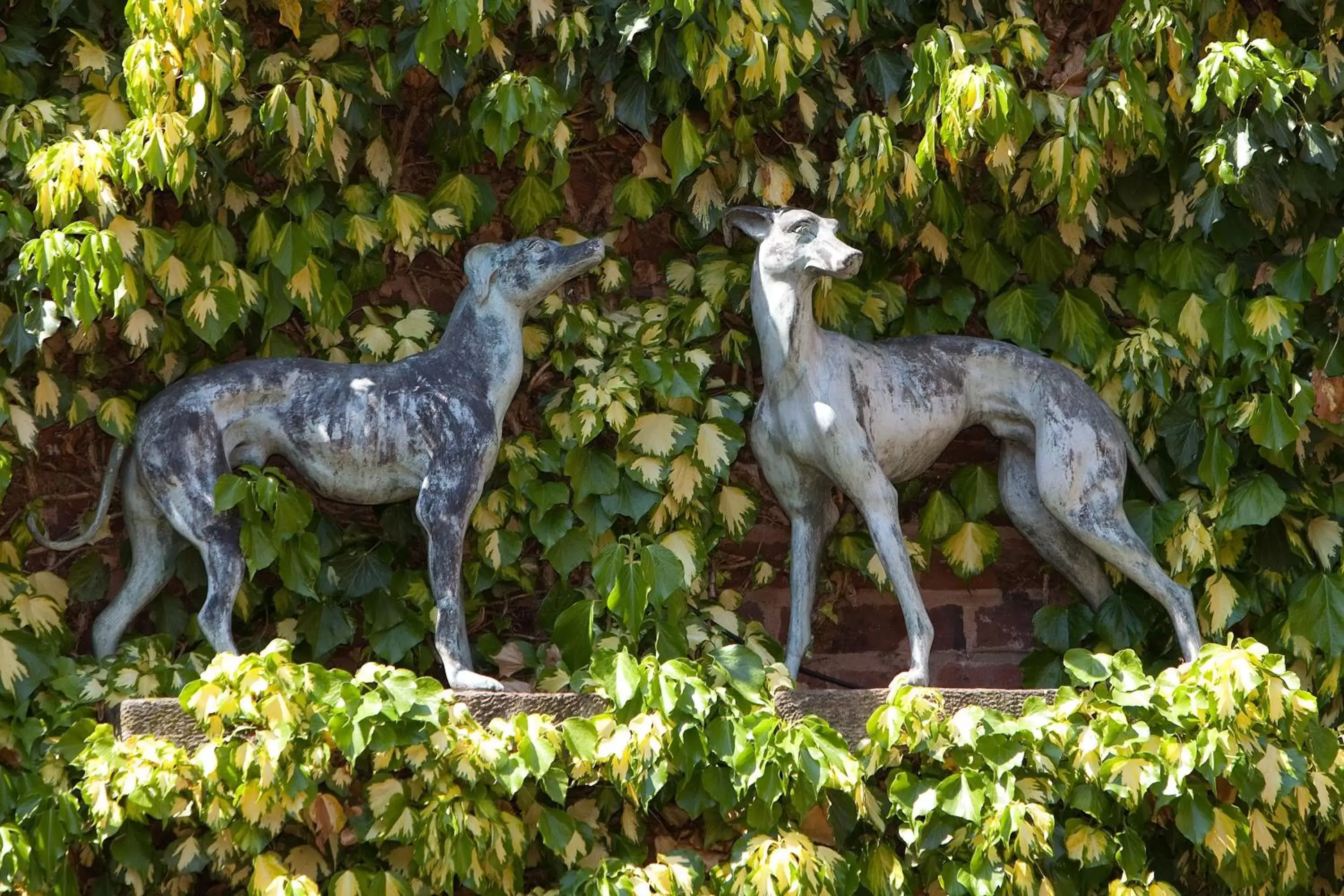 Decorative detail, Other Animals in The Greyhound Coaching Inn
