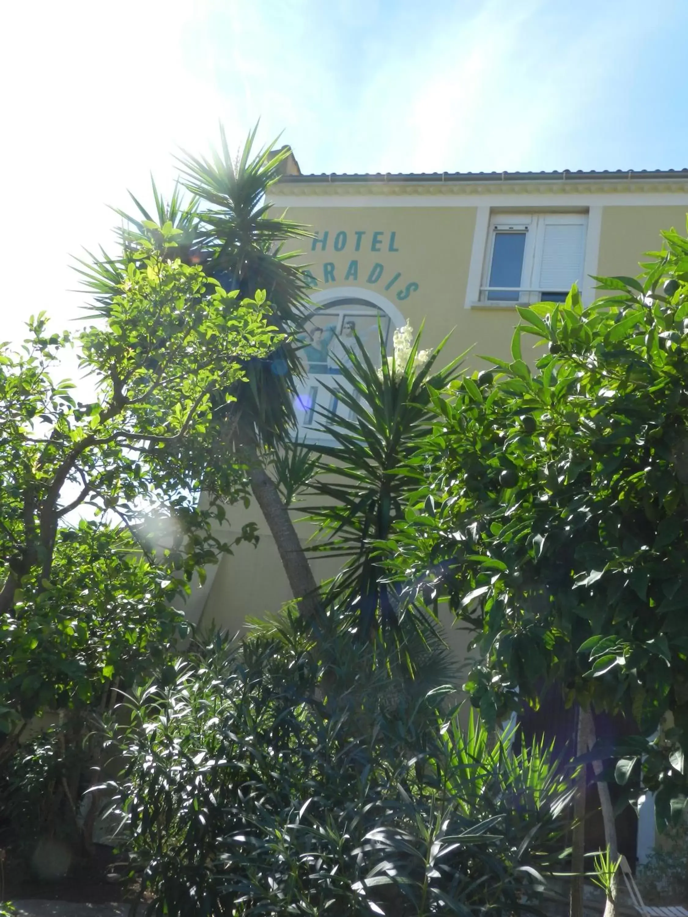 Area and facilities, Property Building in Hôtel Paradis