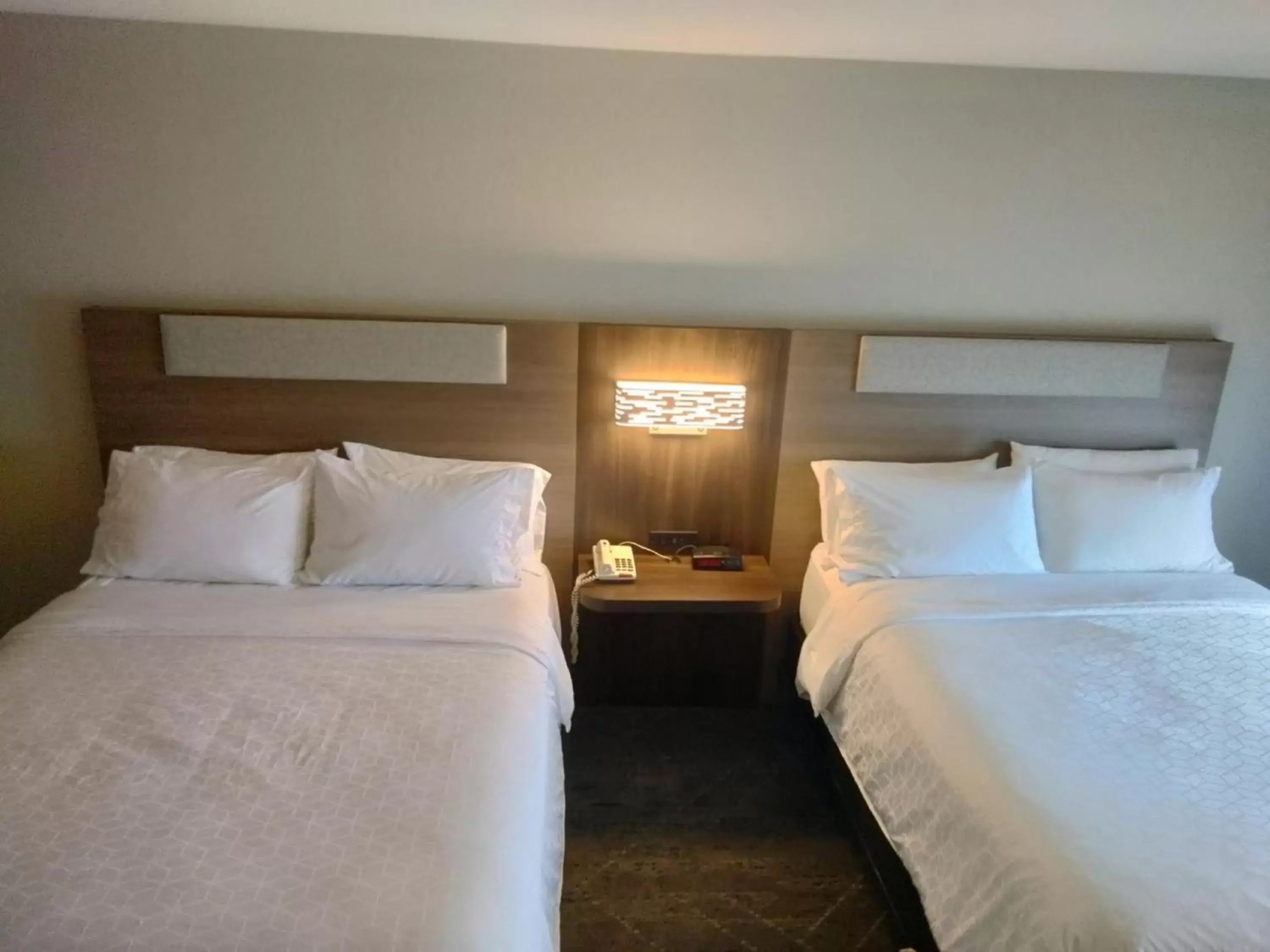 Photo of the whole room, Bed in Holiday Inn Express Lapeer, an IHG Hotel