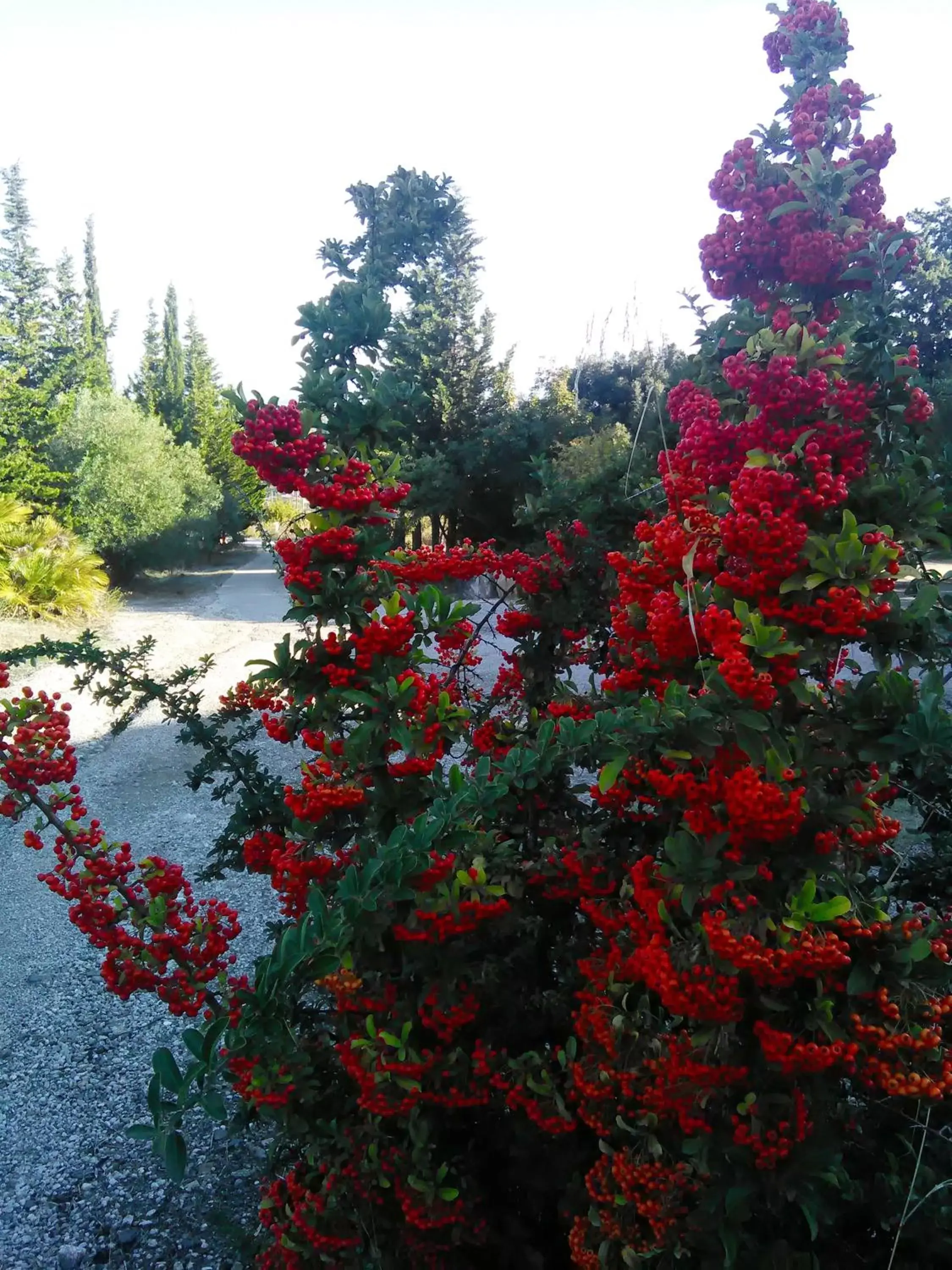 Autumn in Casa d' Artista B&B